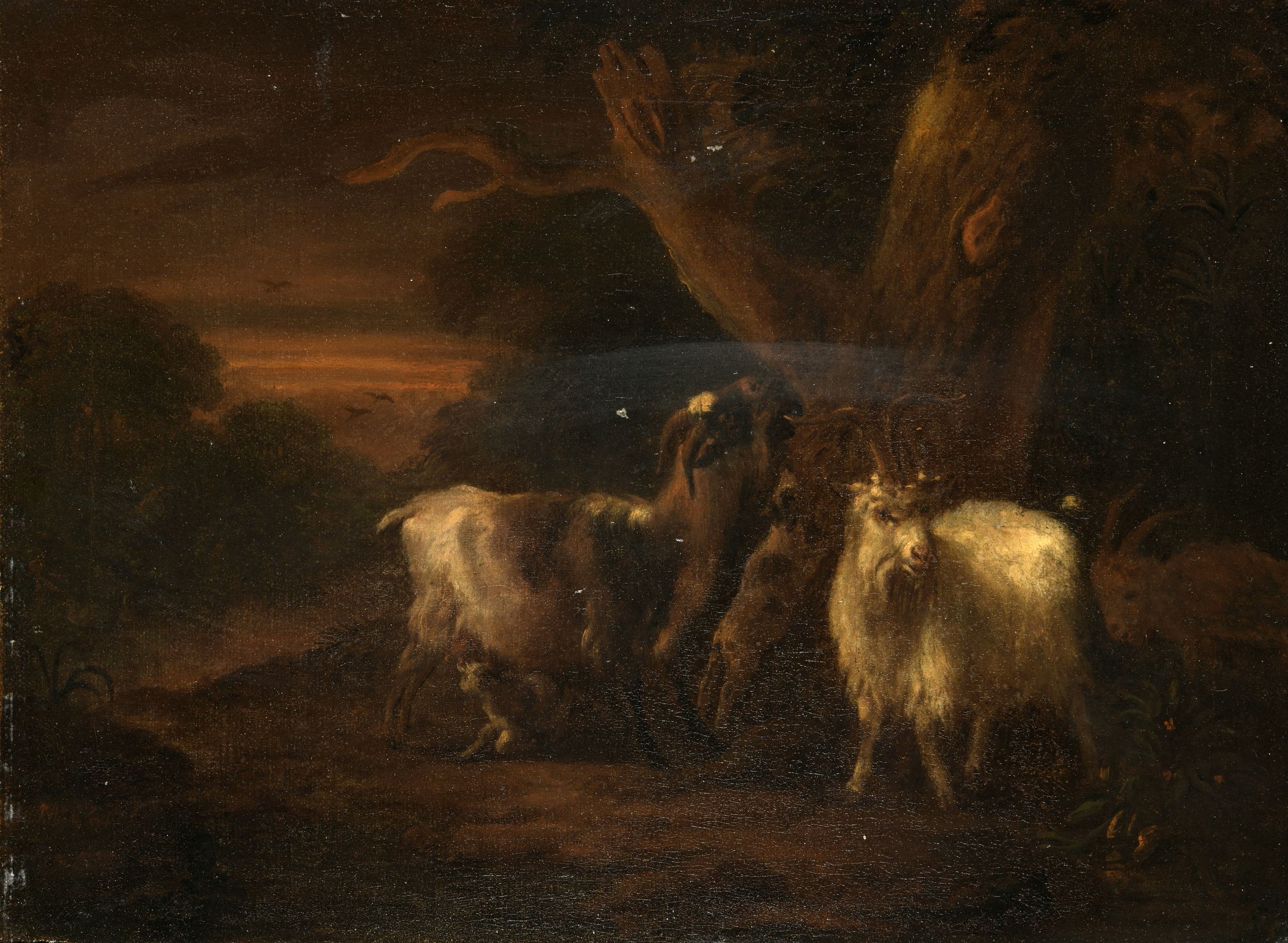 ABRAHAM JANSZ BEGEYN (LEYDE 1637 - BERLIN 1697)