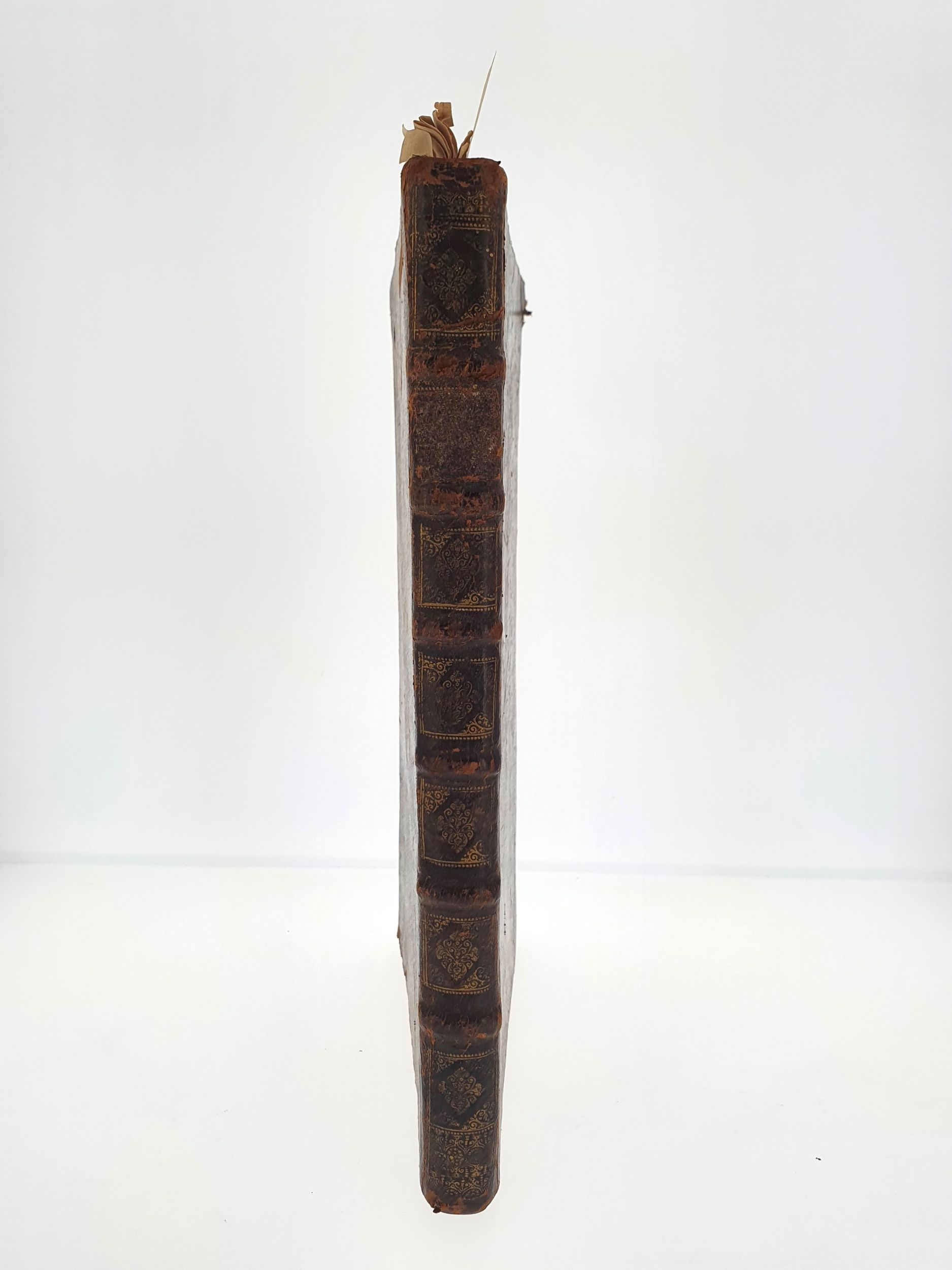 [ANATOMIE]. VÉSALE (André). De Humani corporis fabrica. Epitome : cum annotationibus Nicolai FONTANI Aamstelredamensis medicis. Amstelodami, Apud Ioannem Iansonnium, 1642. In-folio, basane, dos à nerfs (reliure de l’époque).:  | H&ocirc;tel Des Ventes de Monte-Carlo