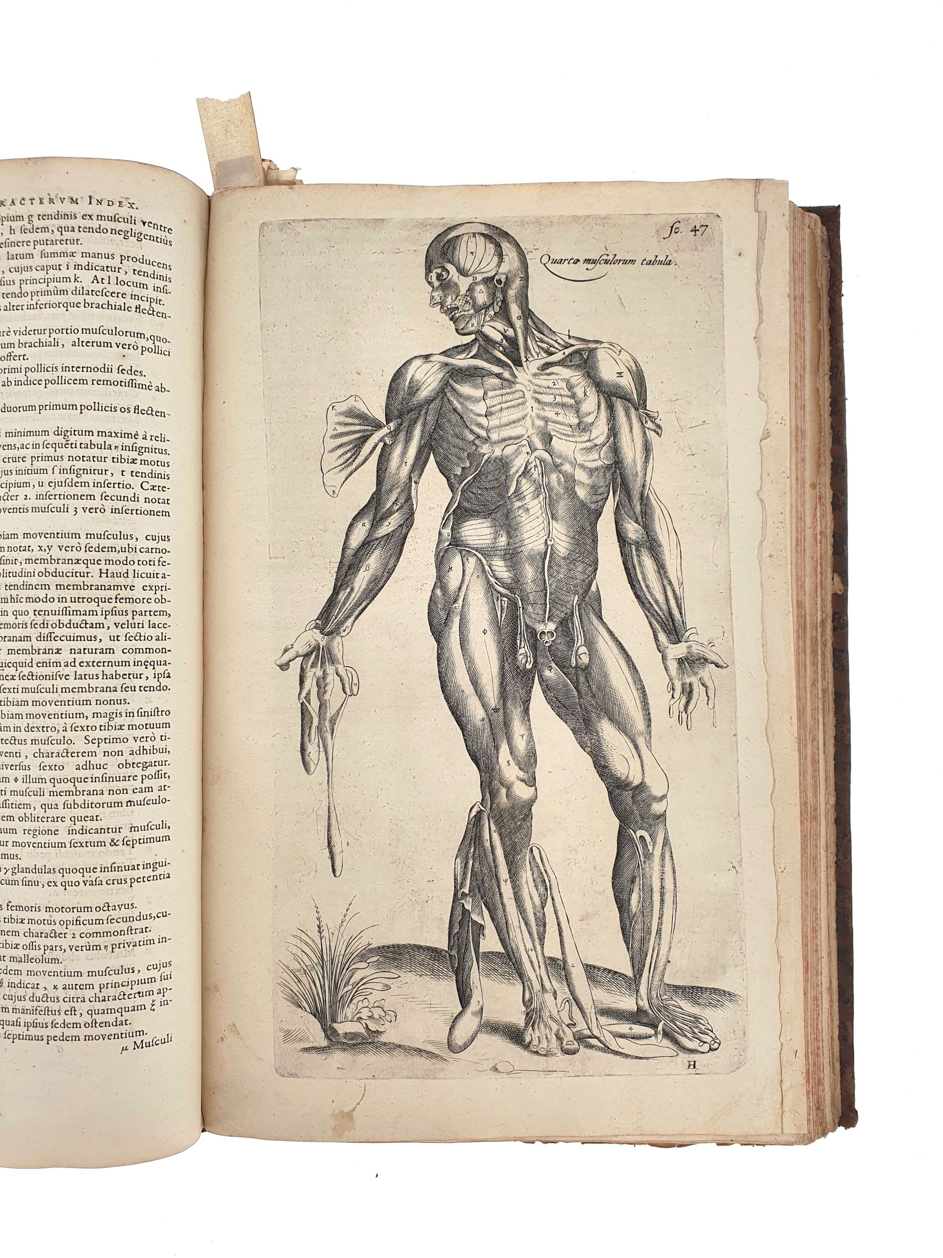 [ANATOMIE]. VÉSALE (André). De Humani corporis fabrica. Epitome : cum annotationibus Nicolai FONTANI Aamstelredamensis medicis. Amstelodami, Apud Ioannem Iansonnium, 1642. In-folio, basane, dos à nerfs (reliure de l’époque).:  | H&ocirc;tel Des Ventes de Monte-Carlo