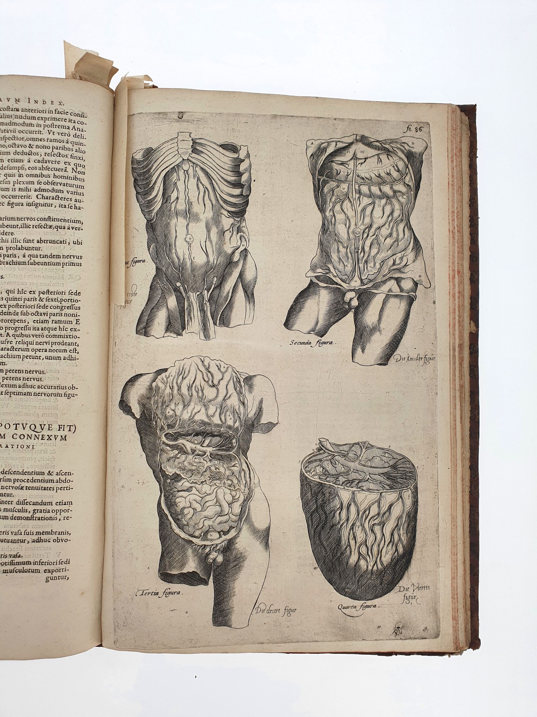 [ANATOMIE]. VÉSALE (André). De Humani corporis fabrica. Epitome : cum annotationibus Nicolai FONTANI Aamstelredamensis medicis. Amstelodami, Apud Ioannem Iansonnium, 1642. In-folio, basane, dos à nerfs (reliure de l’époque).:  | H&ocirc;tel Des Ventes de Monte-Carlo