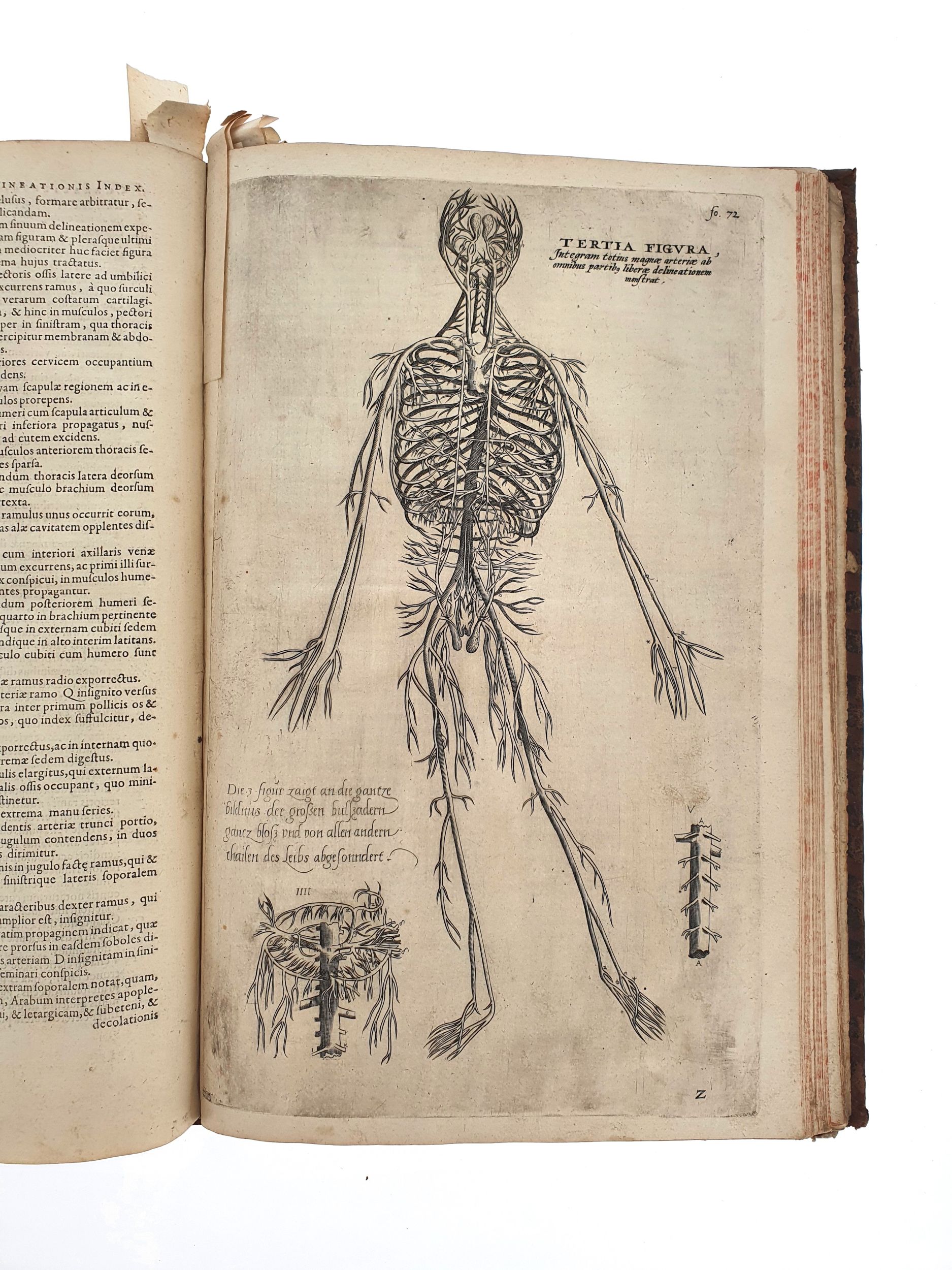 [ANATOMIE]. VÉSALE (André). De Humani corporis fabrica. Epitome : cum annotationibus Nicolai FONTANI Aamstelredamensis medicis. Amstelodami, Apud Ioannem Iansonnium, 1642. In-folio, basane, dos à nerfs (reliure de l’époque).:  | H&ocirc;tel Des Ventes de Monte-Carlo