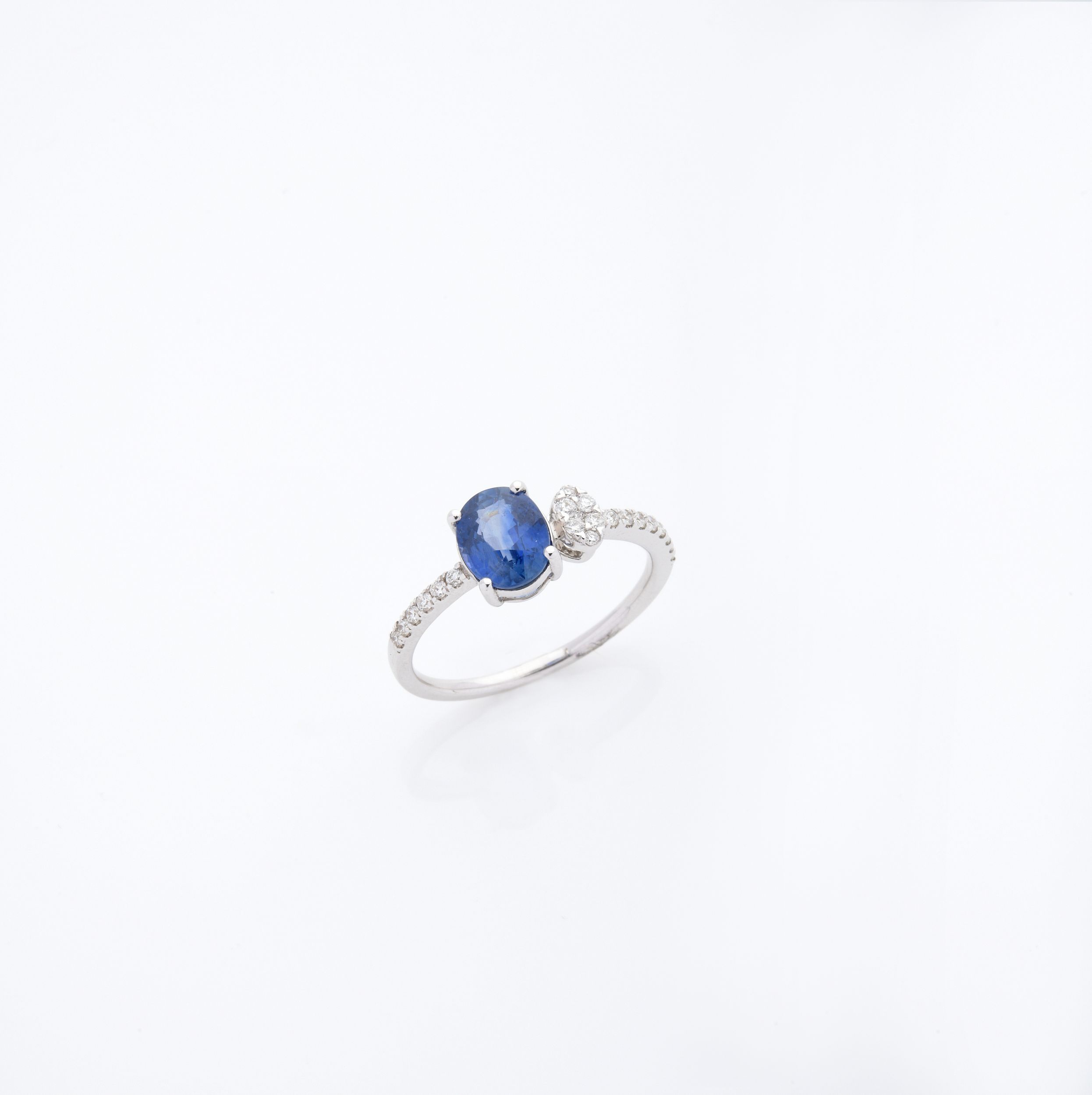 COLLECTION MICHELE MERCIER:  | H&ocirc;tel Des Ventes de Monte-Carlo