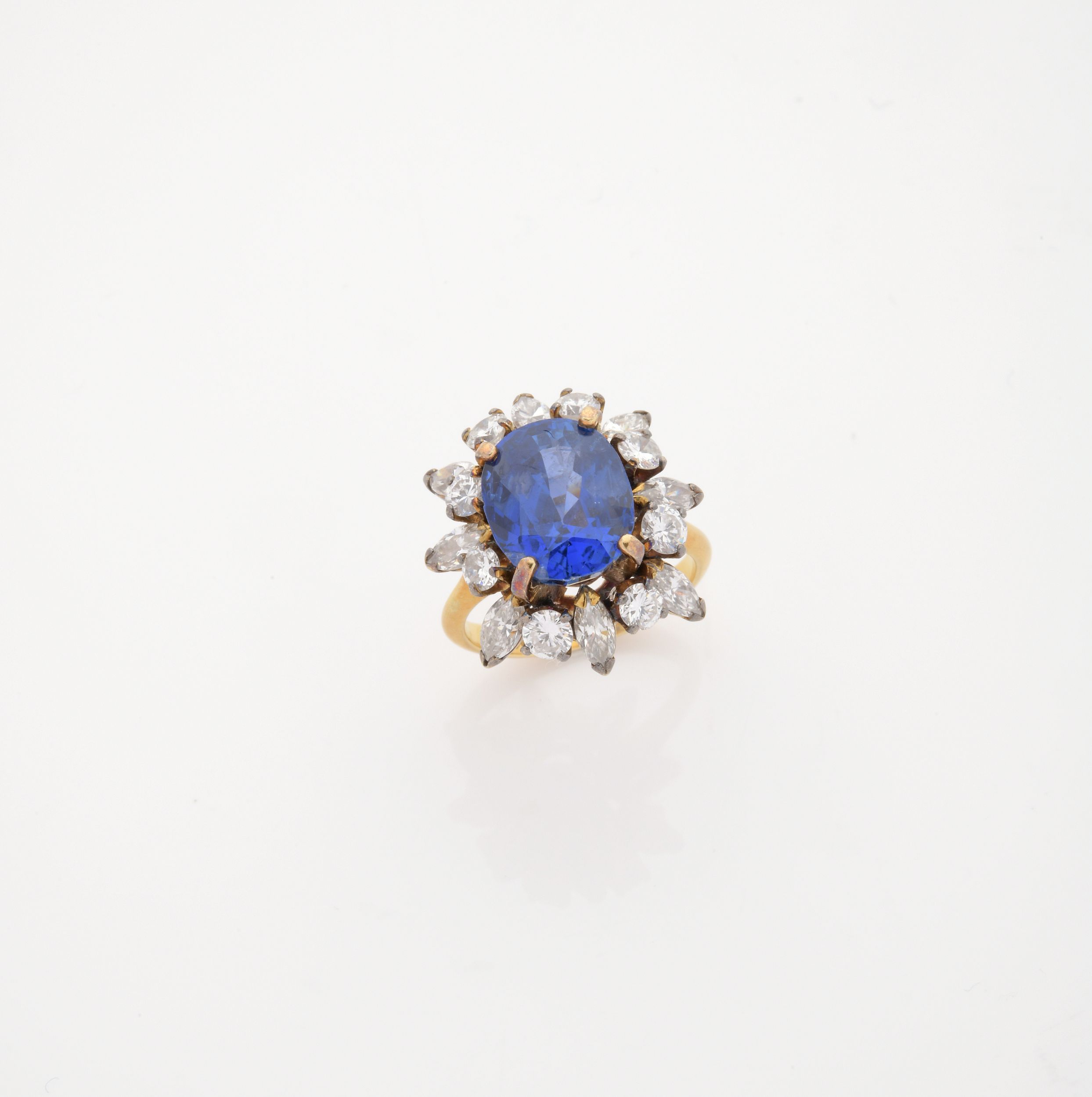 RAVISSANT COLLIER A TRANSFORMATION:  | H&ocirc;tel Des Ventes de Monte-Carlo