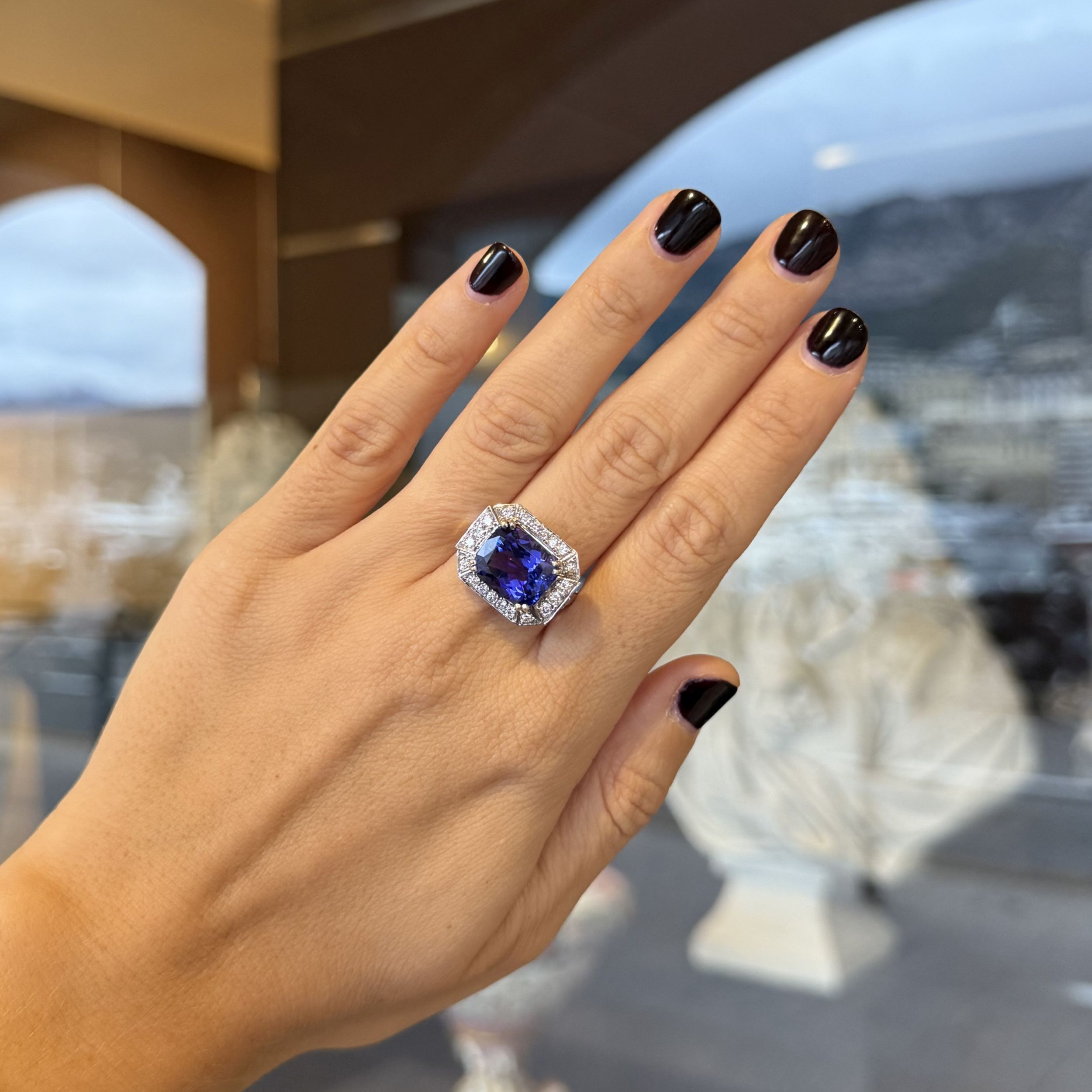 BAGUE :  | H&ocirc;tel Des Ventes de Monte-Carlo