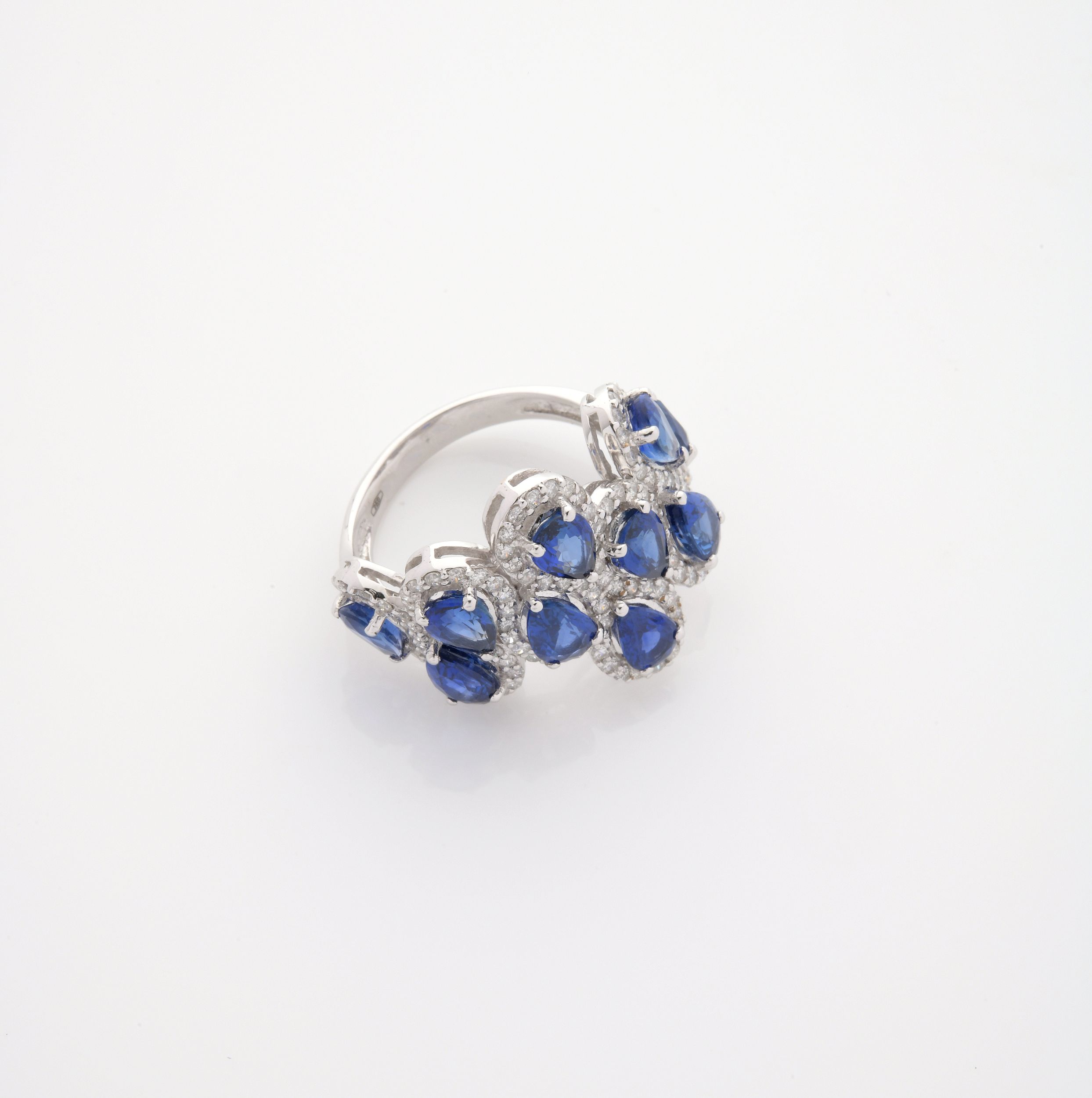 BAGUE :  | H&ocirc;tel Des Ventes de Monte-Carlo