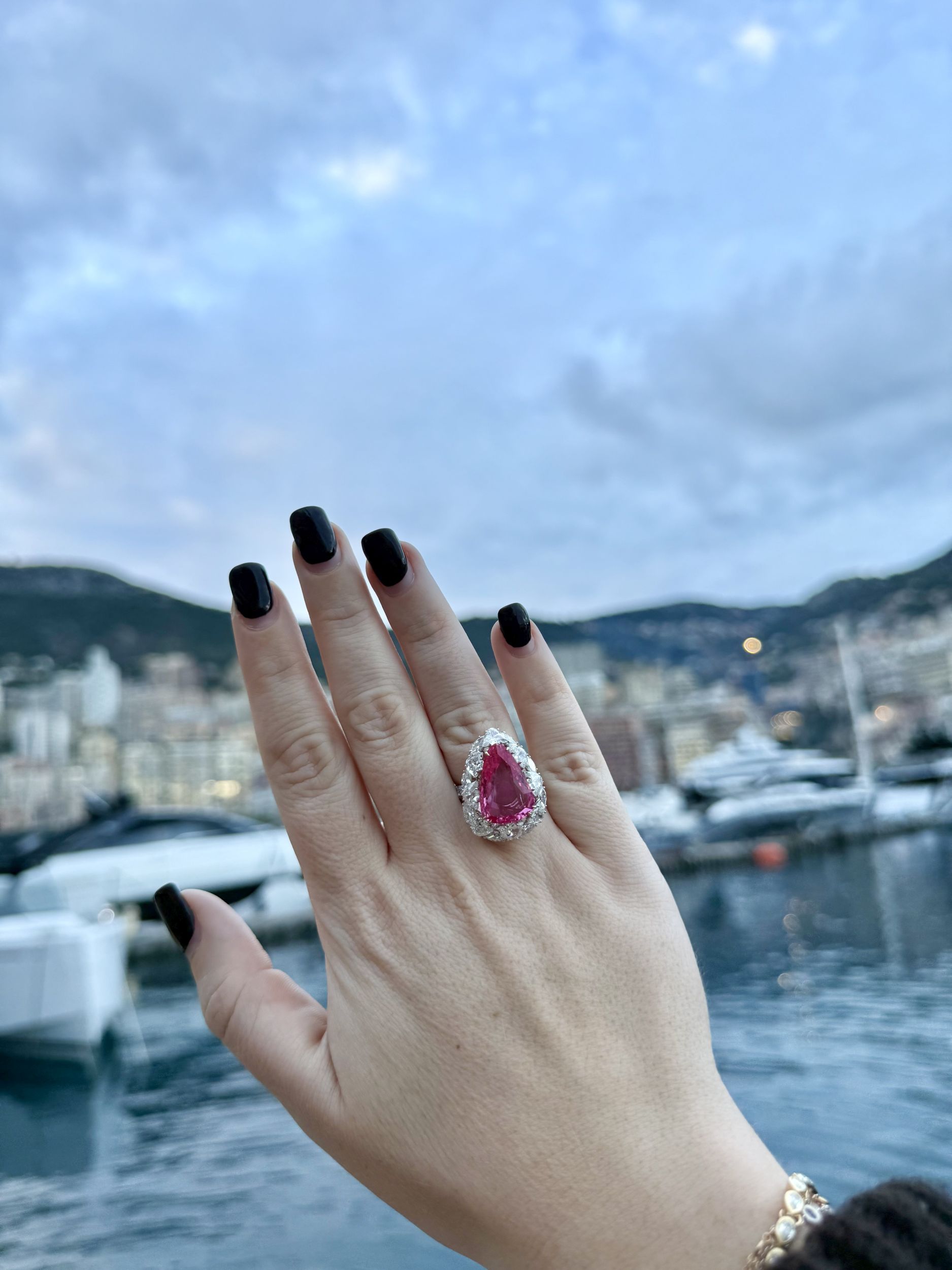 BAGUE:  | H&ocirc;tel Des Ventes de Monte-Carlo