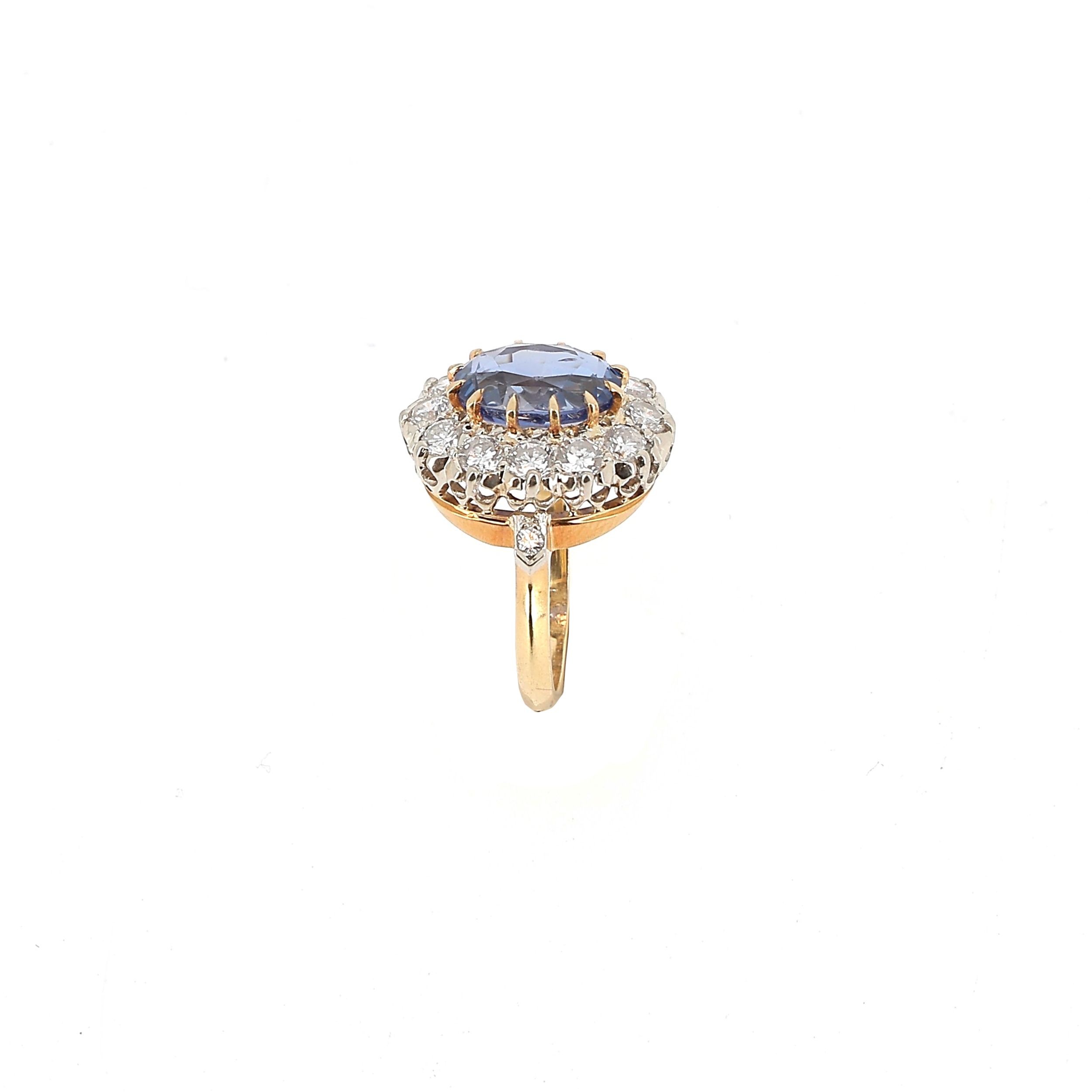 BAGUE :  | H&ocirc;tel Des Ventes de Monte-Carlo