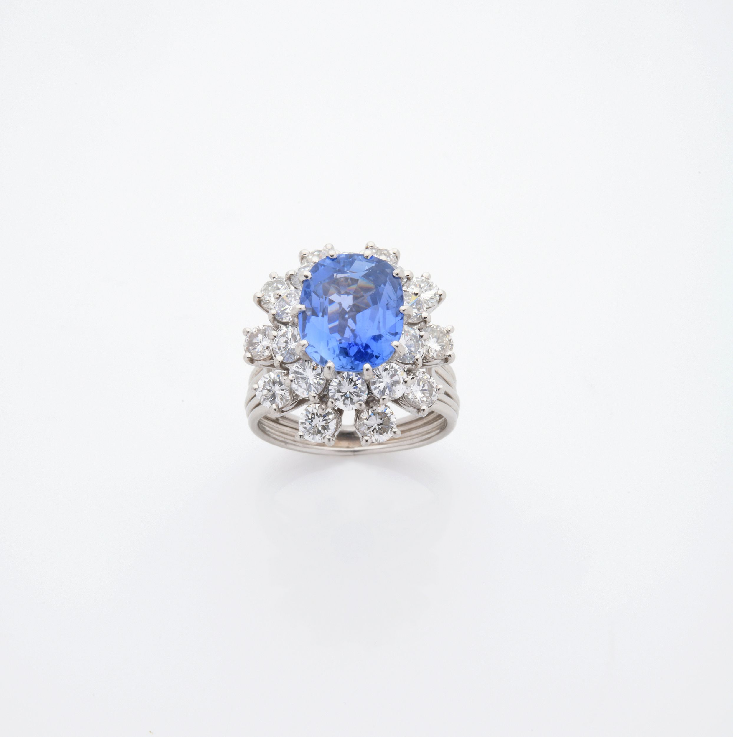BAGUE :  | H&ocirc;tel Des Ventes de Monte-Carlo
