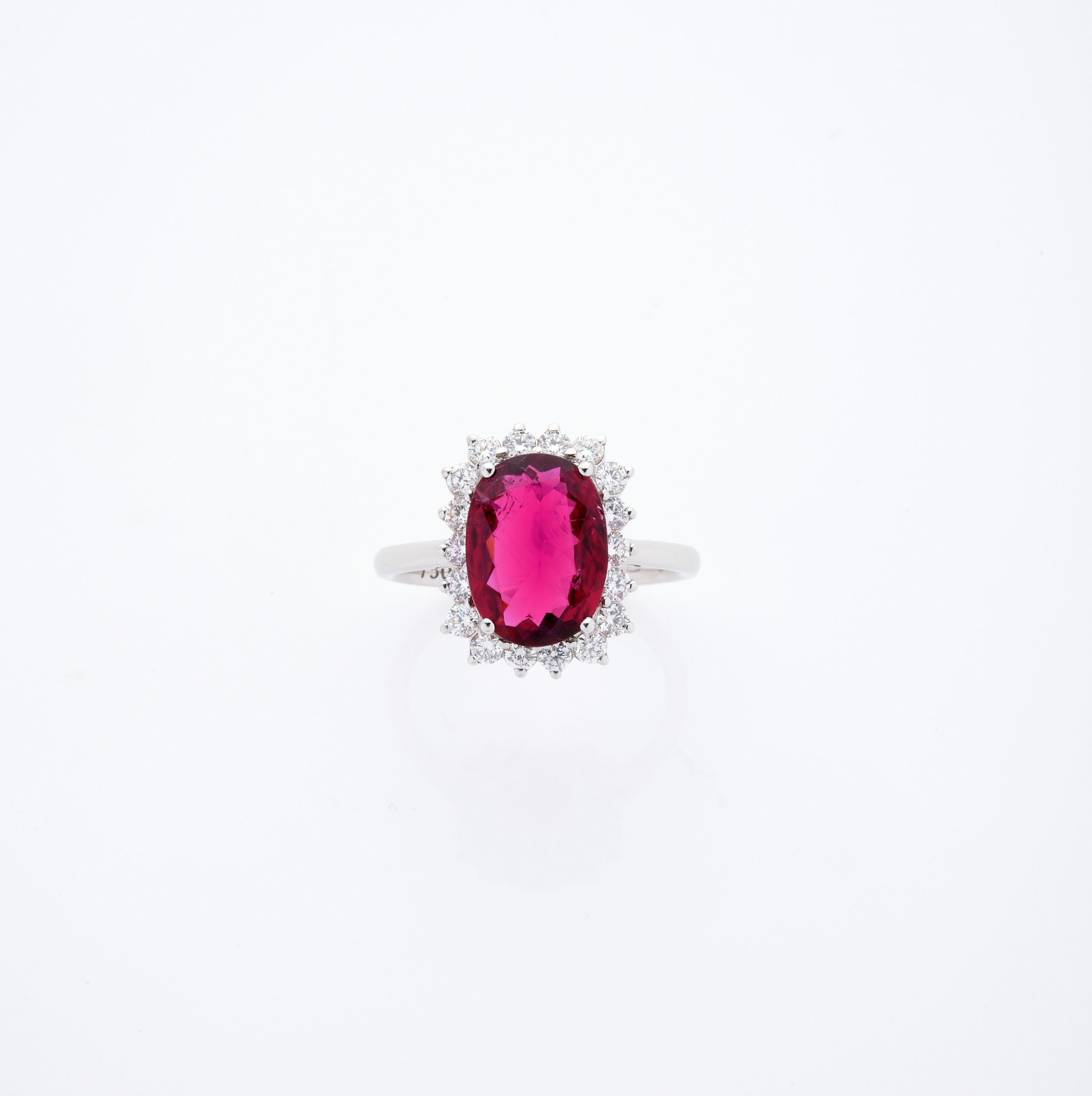 COLLECTION MICHELE MERCIER:  | H&ocirc;tel Des Ventes de Monte-Carlo