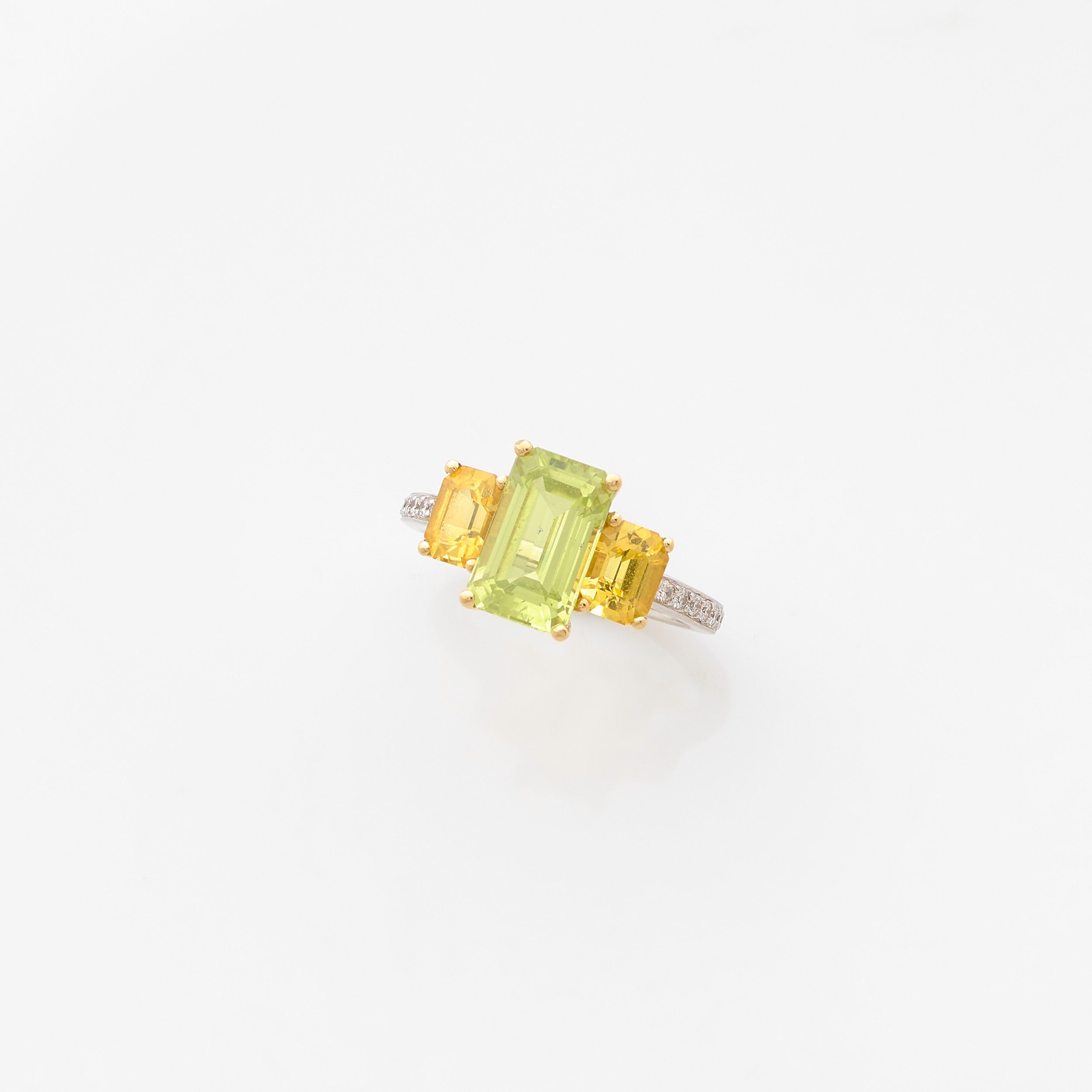 IMPORTANTE BAGUE CHEVALIERE:  | H&ocirc;tel Des Ventes de Monte-Carlo