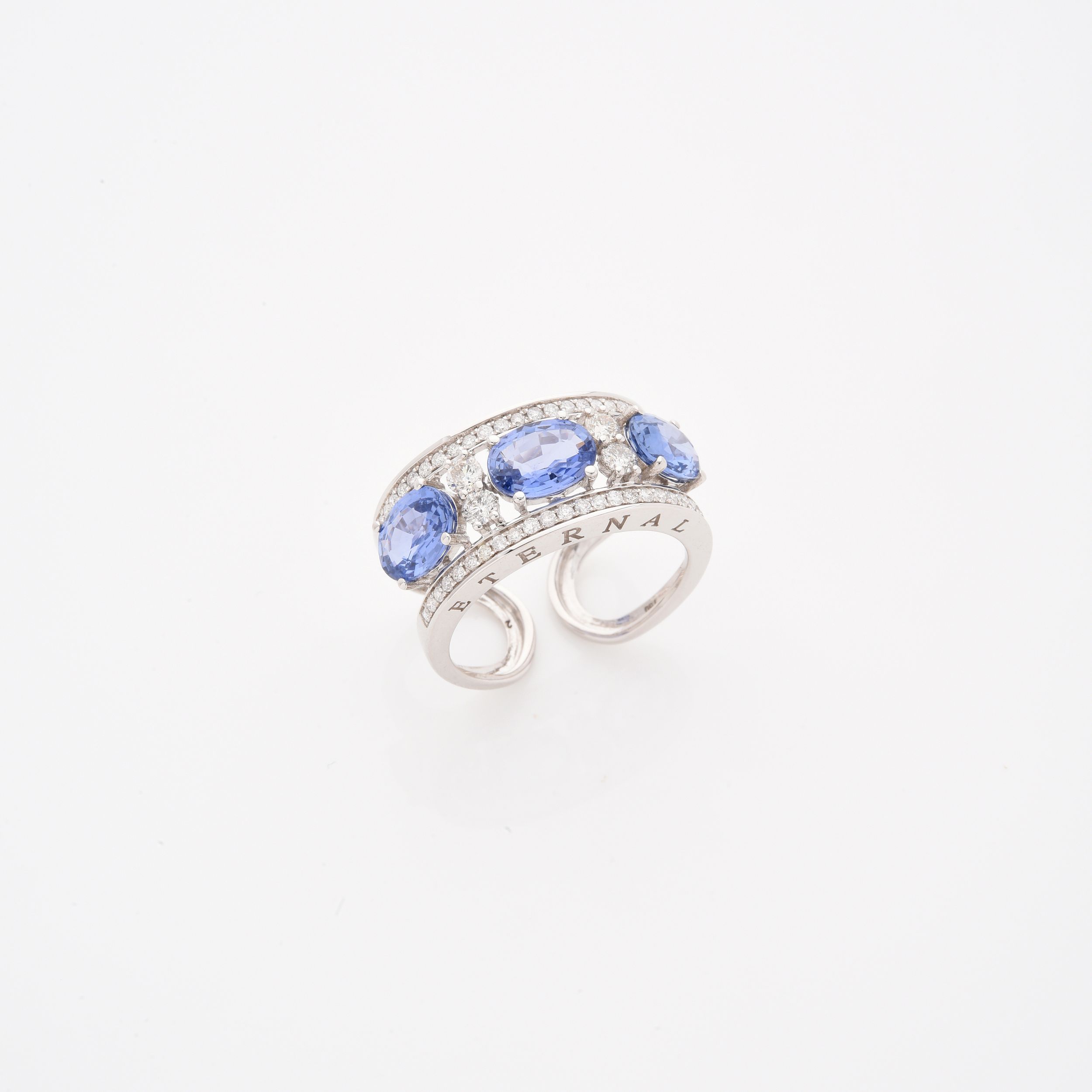 TANZANITE SOUS SCELLE:  | H&ocirc;tel Des Ventes de Monte-Carlo