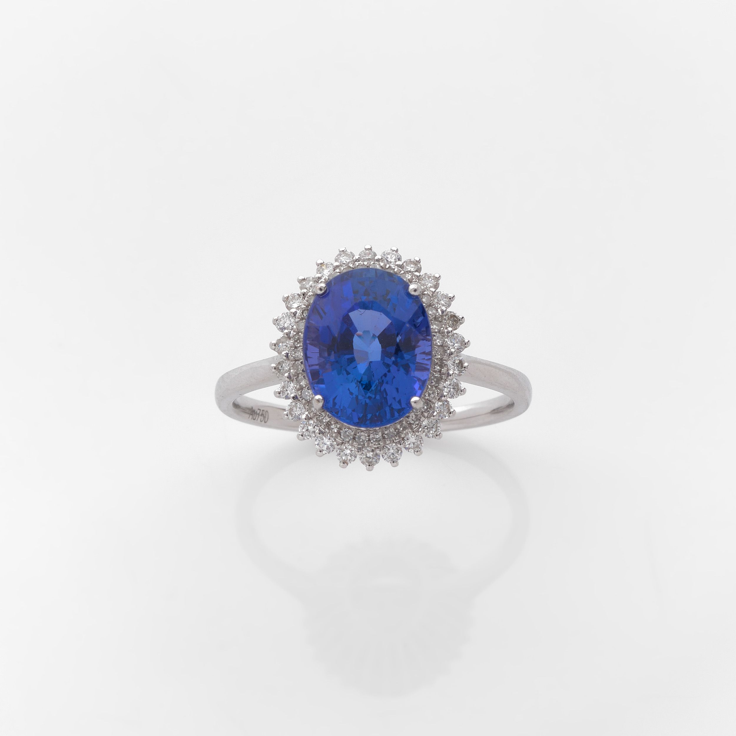 BAGUE :  | H&ocirc;tel Des Ventes de Monte-Carlo