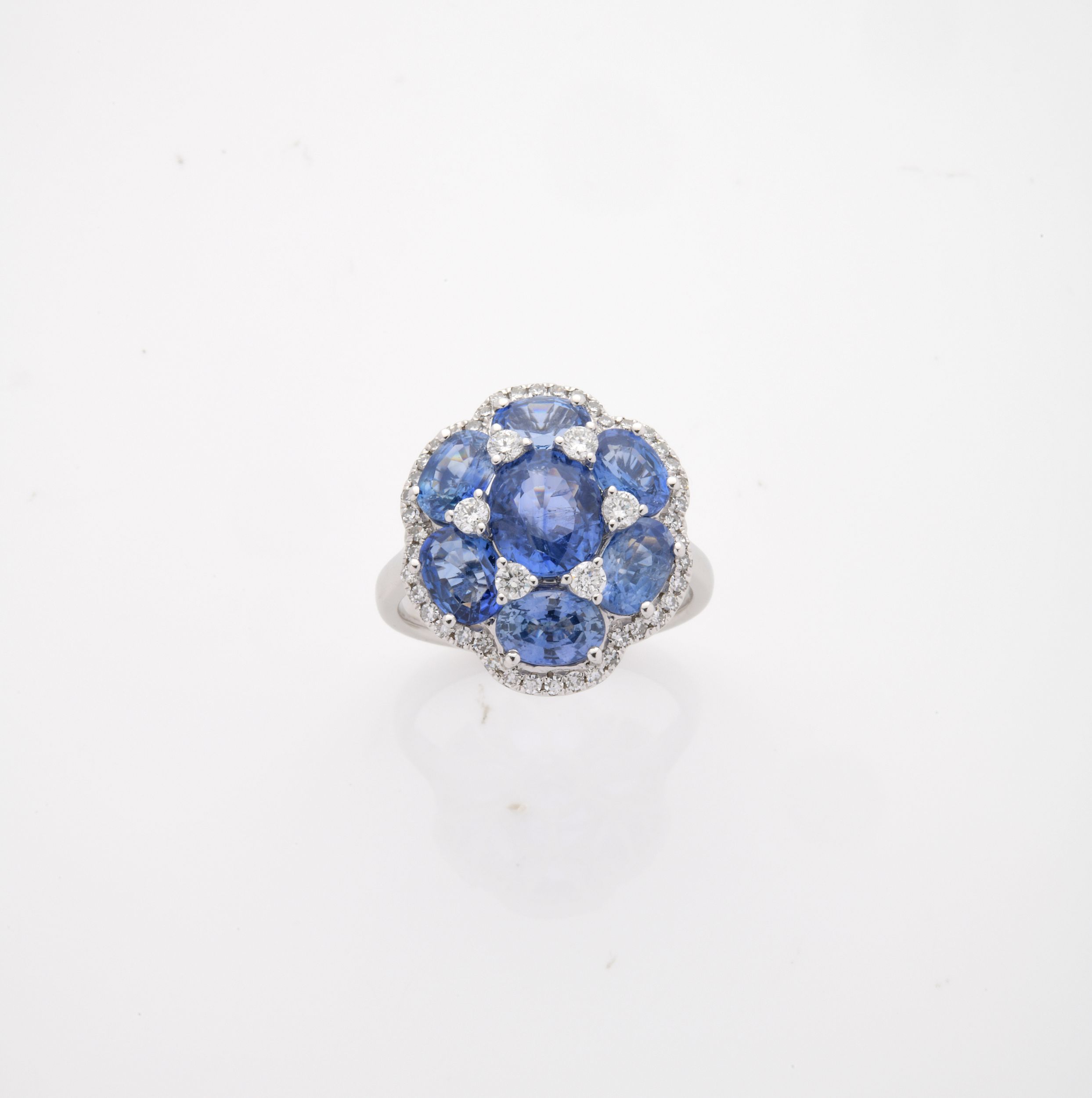 BELLE BAGUE:  | H&ocirc;tel Des Ventes de Monte-Carlo