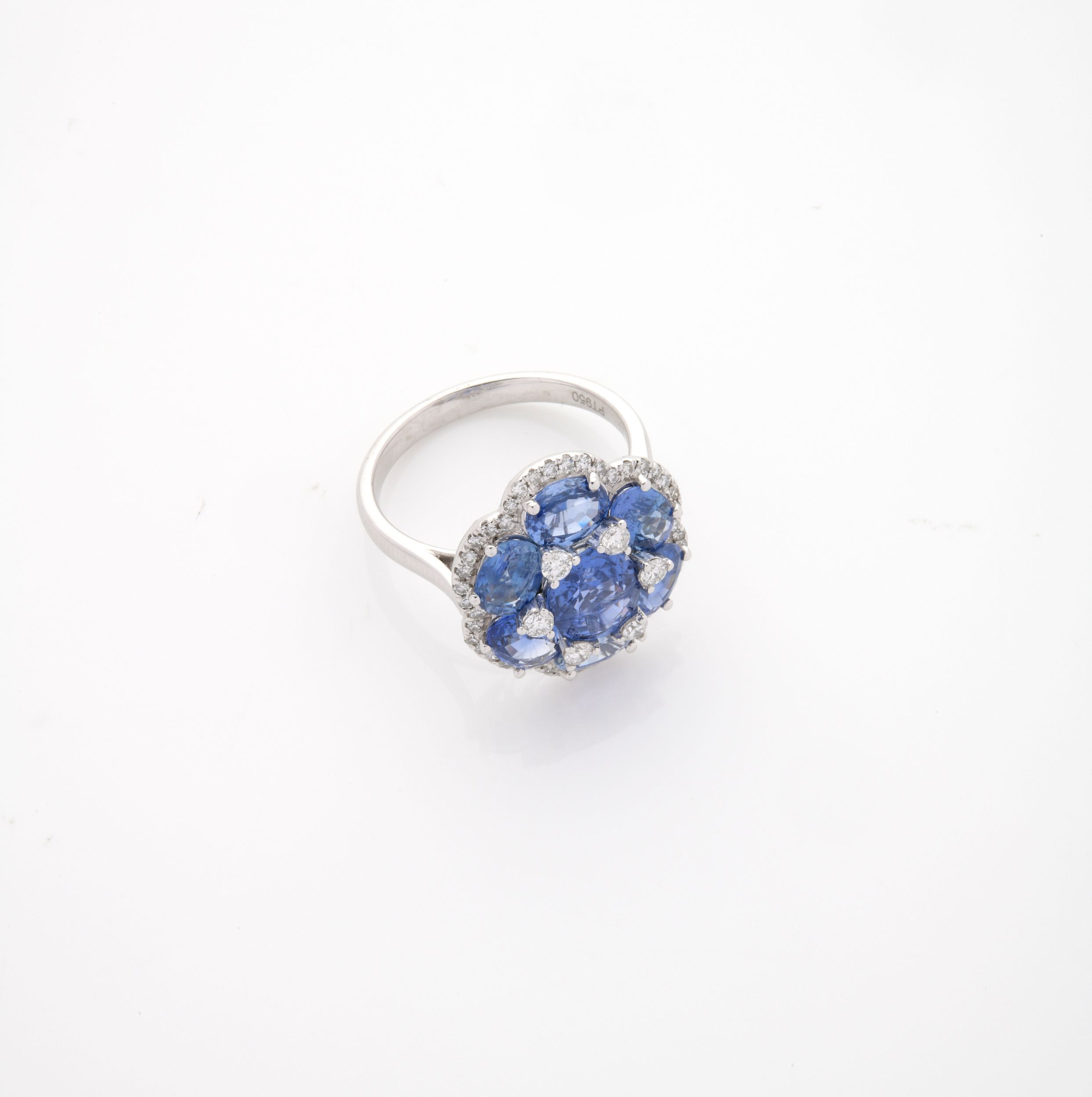 BELLE BAGUE:  | H&ocirc;tel Des Ventes de Monte-Carlo