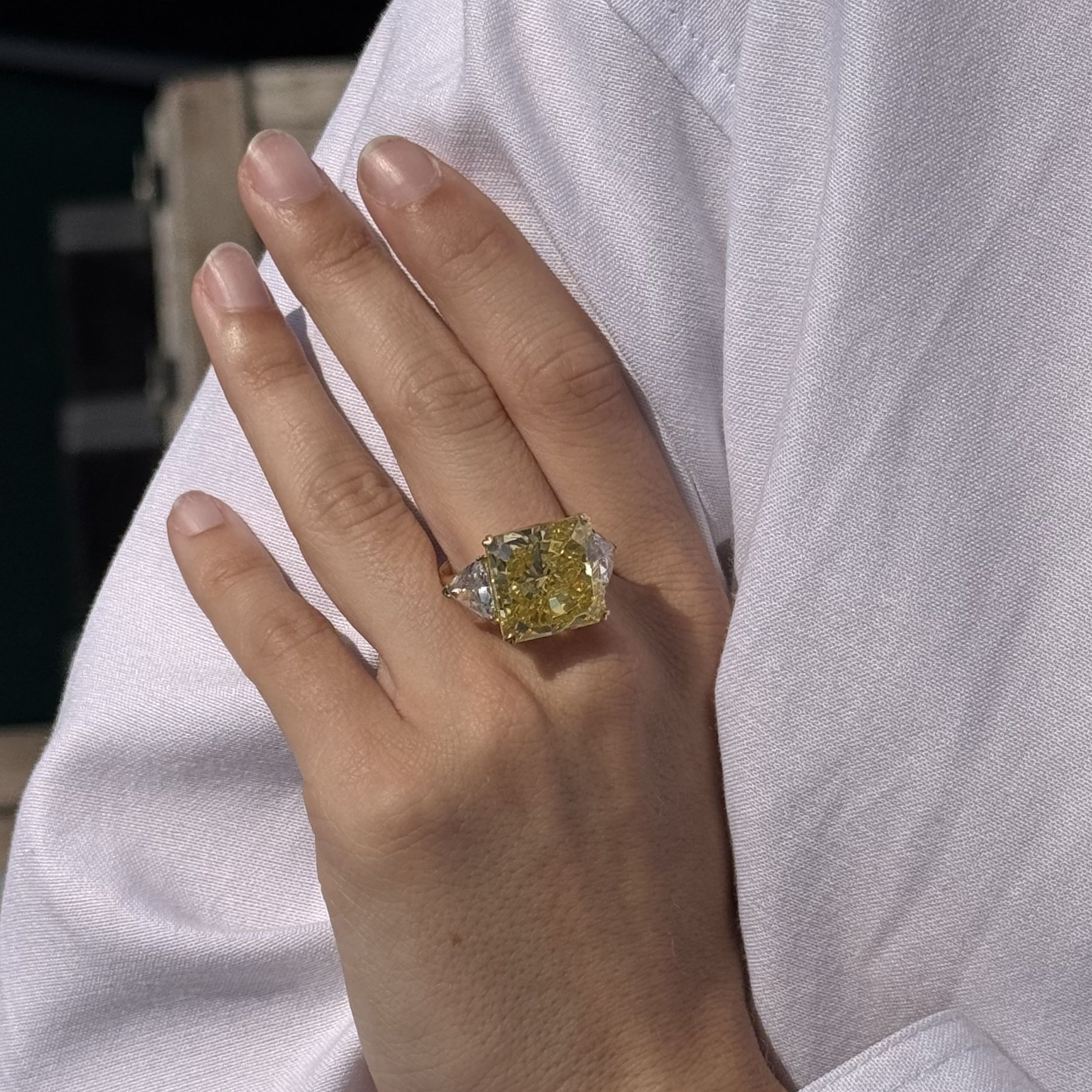 BELLE BAGUE  :  | H&ocirc;tel Des Ventes de Monte-Carlo