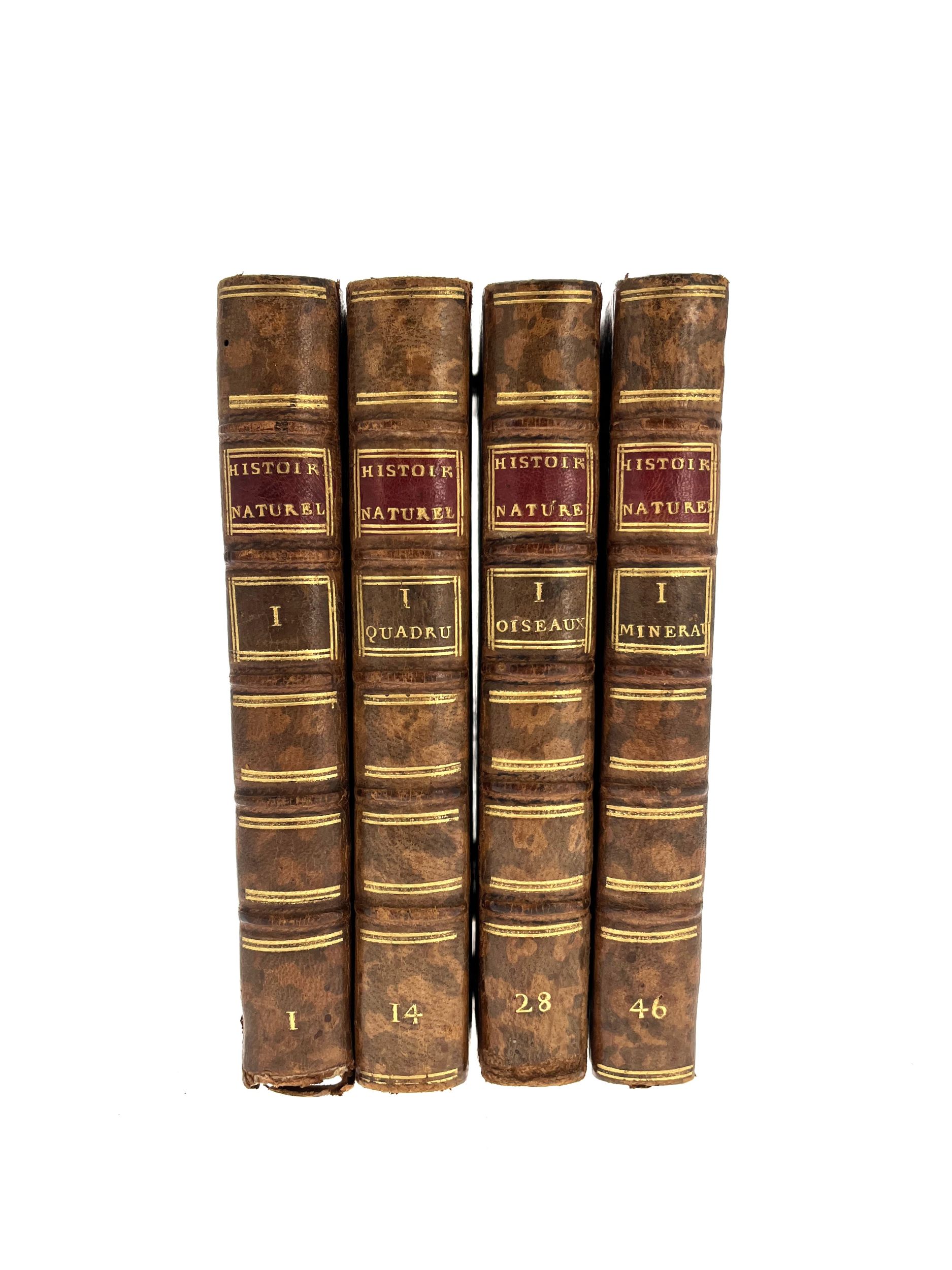 BUFFON (Georges Louis LECLERC DE). Histoire naturelle, générale et particuliere. Aux Deux-Ponts, Chez Sanson  Compagnie, 1785-1791. 54 volumes in-12, basane, dos à nerfs orné (reliure de l’époque).	