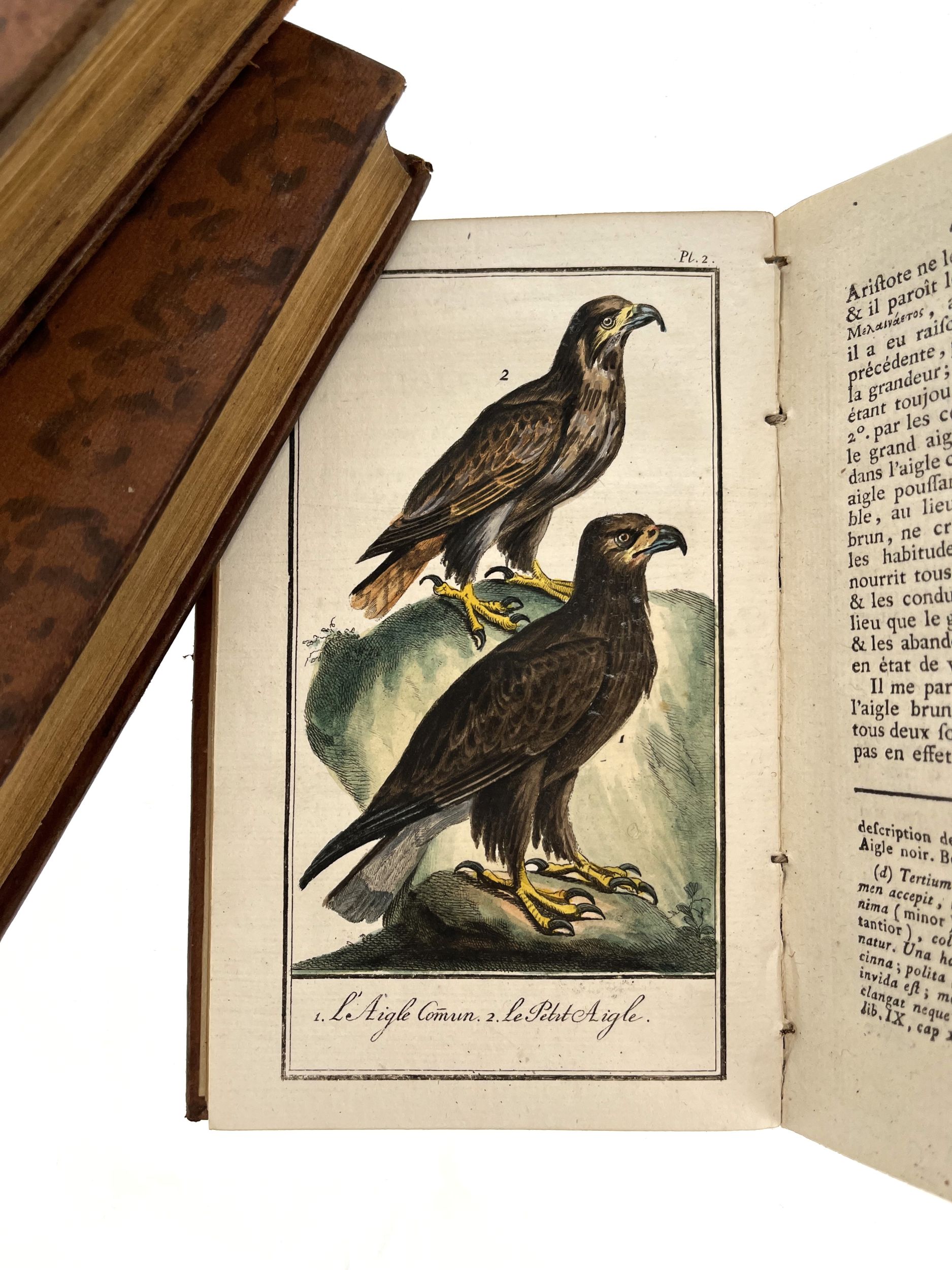 BUFFON (Georges Louis LECLERC DE). Histoire naturelle, générale et particuliere. Aux Deux-Ponts, Chez Sanson  Compagnie, 1785-1791. 54 volumes in-12, basane, dos à nerfs orné (reliure de l’époque).	:  | H&ocirc;tel Des Ventes de Monte-Carlo