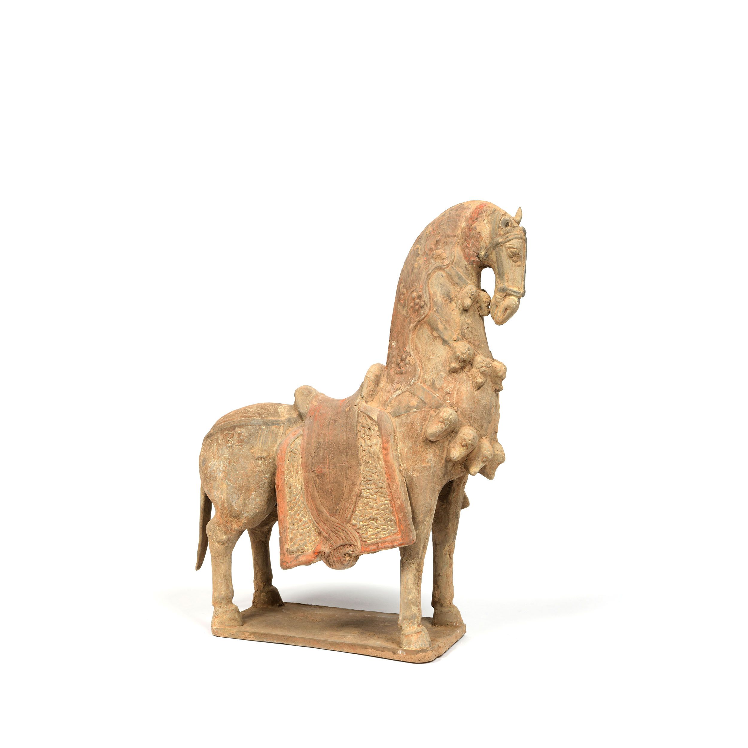 CHEVAL HARNACHÉ