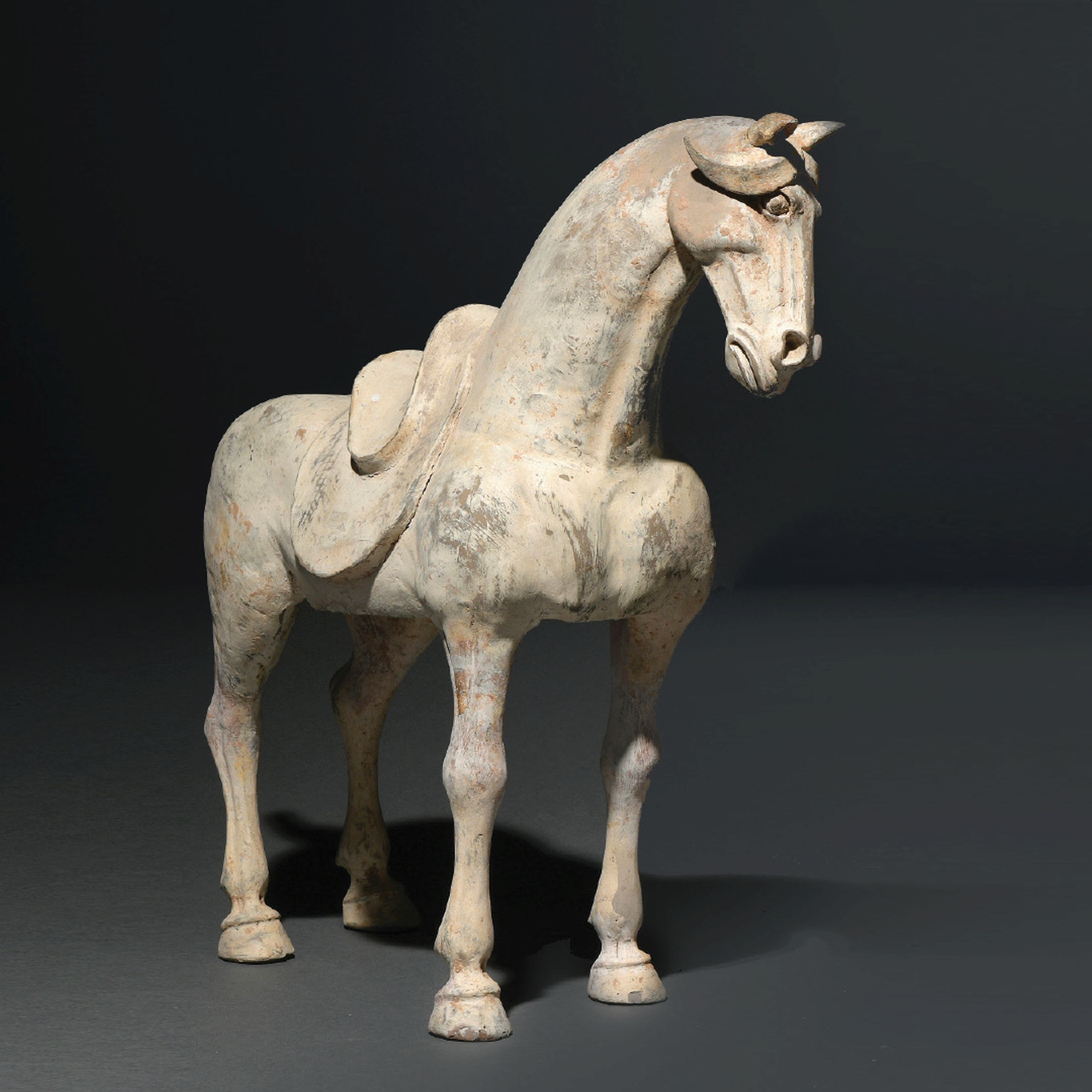 CHEVAL SELLÉ