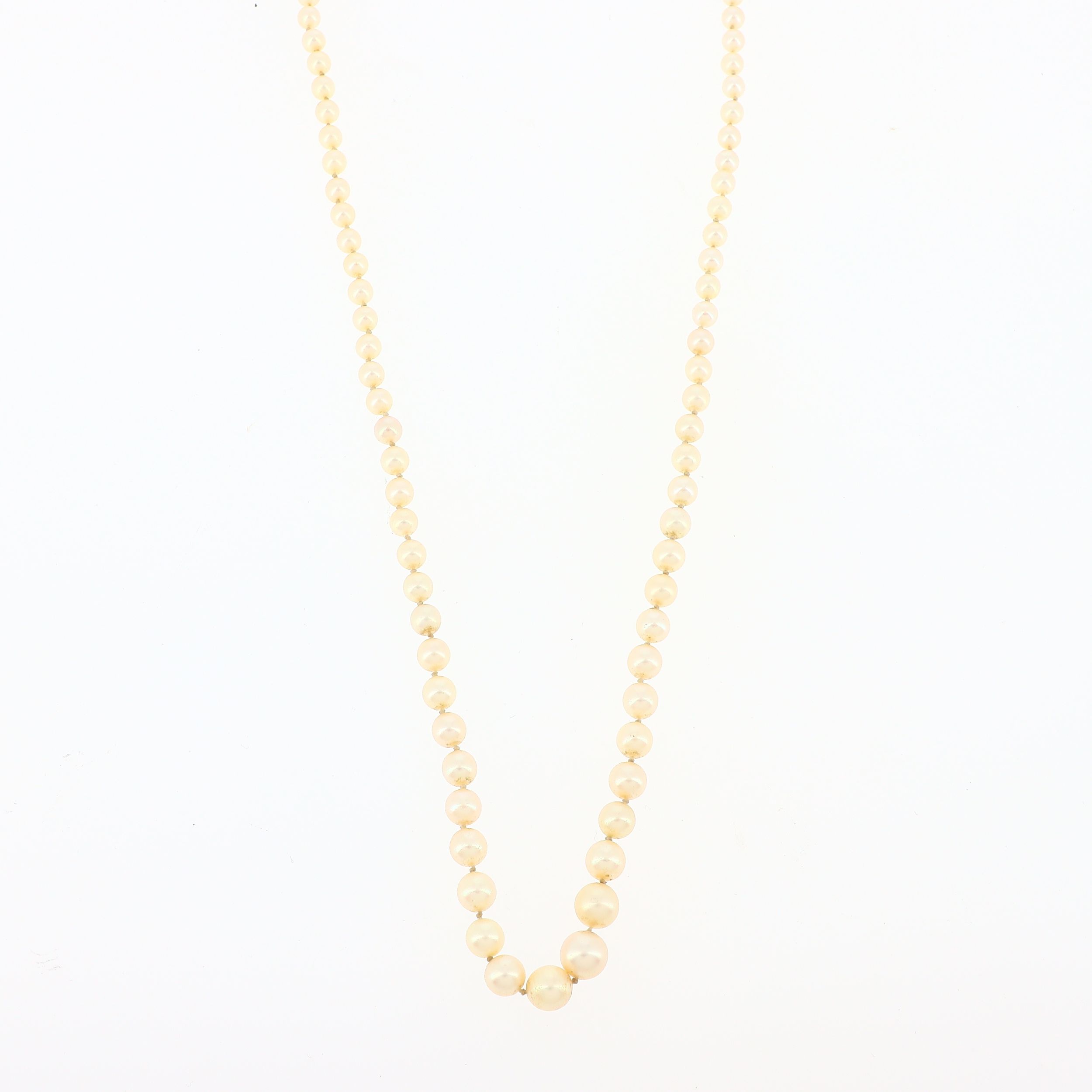 COLLIER 