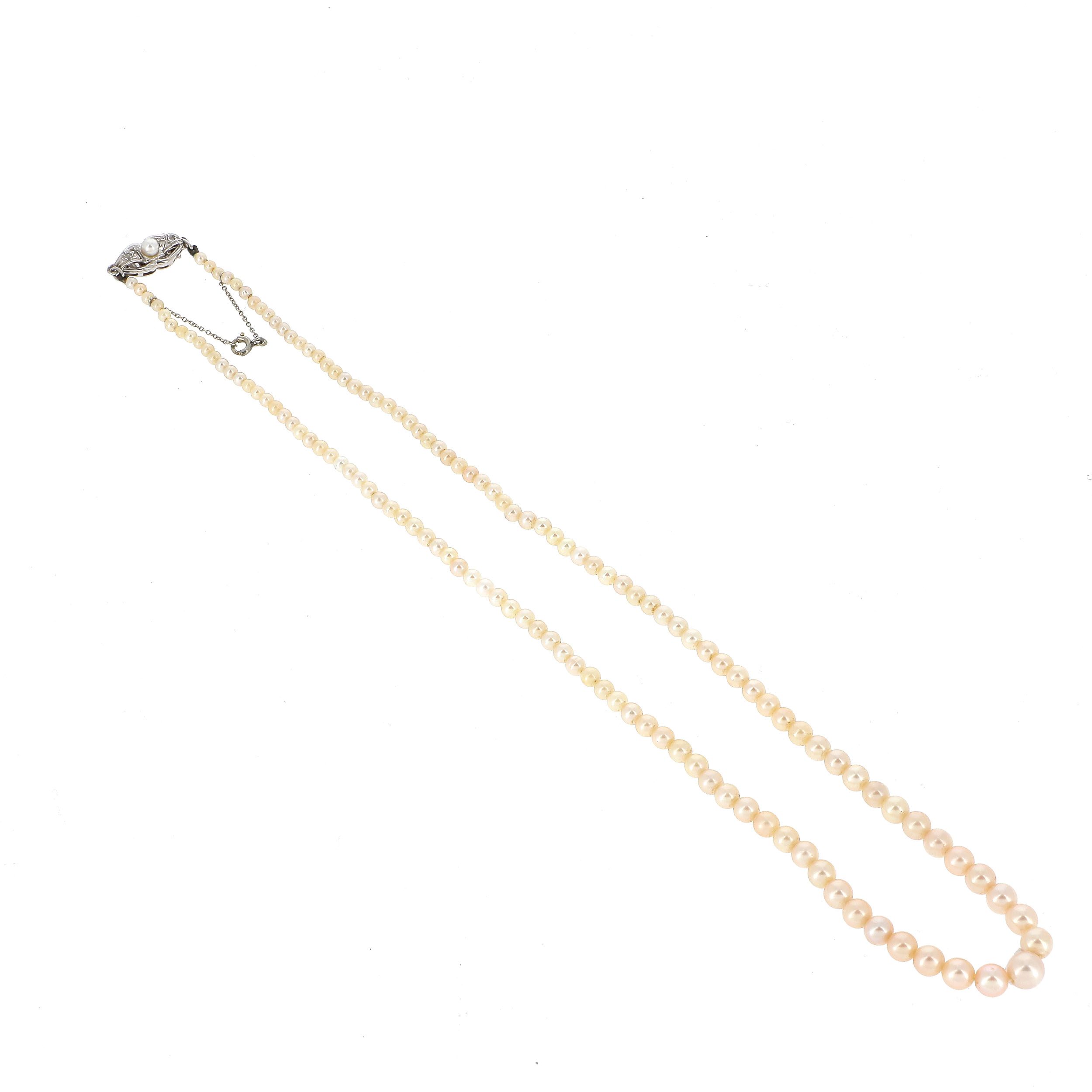 COLLIER 
