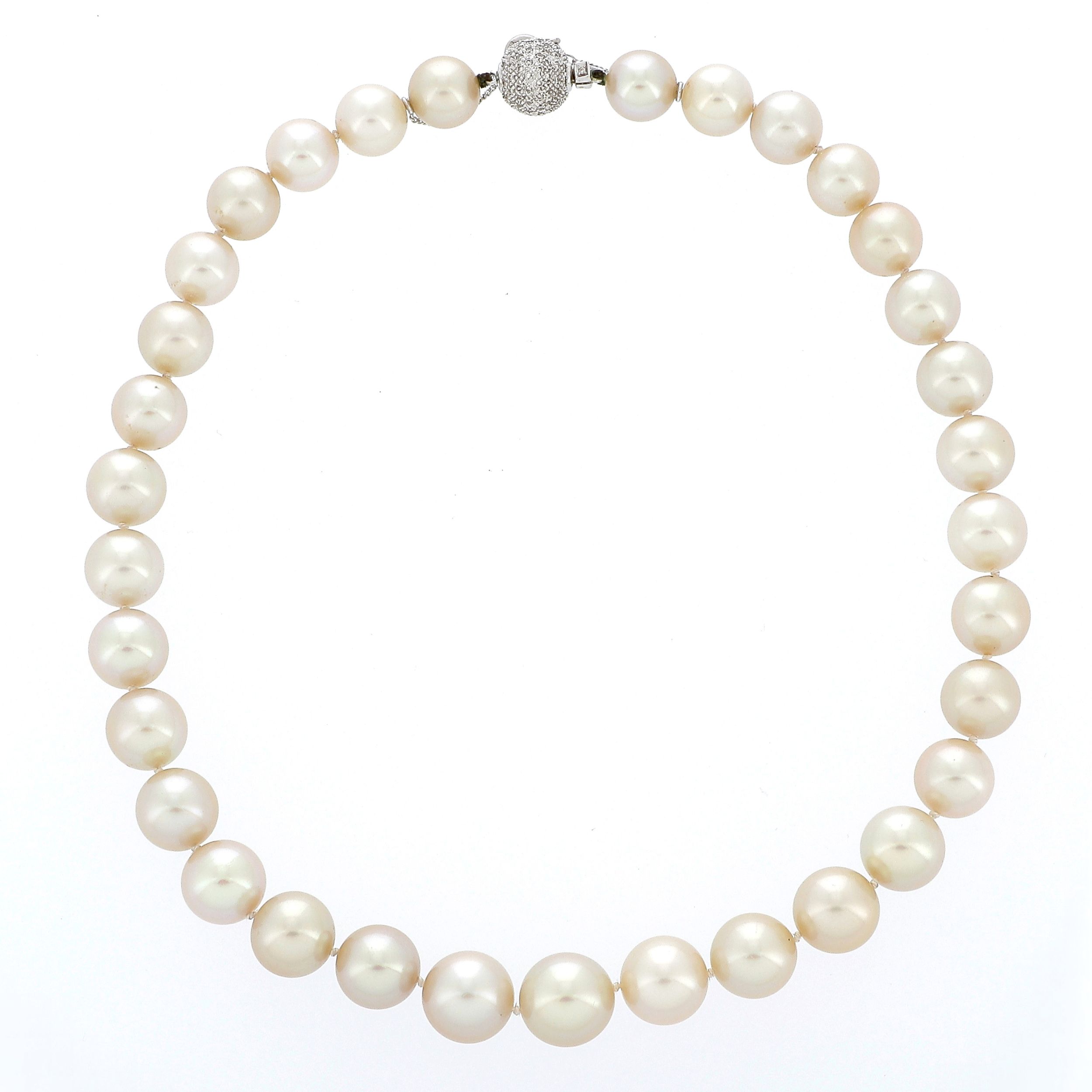 BAGUE:  | H&ocirc;tel Des Ventes de Monte-Carlo