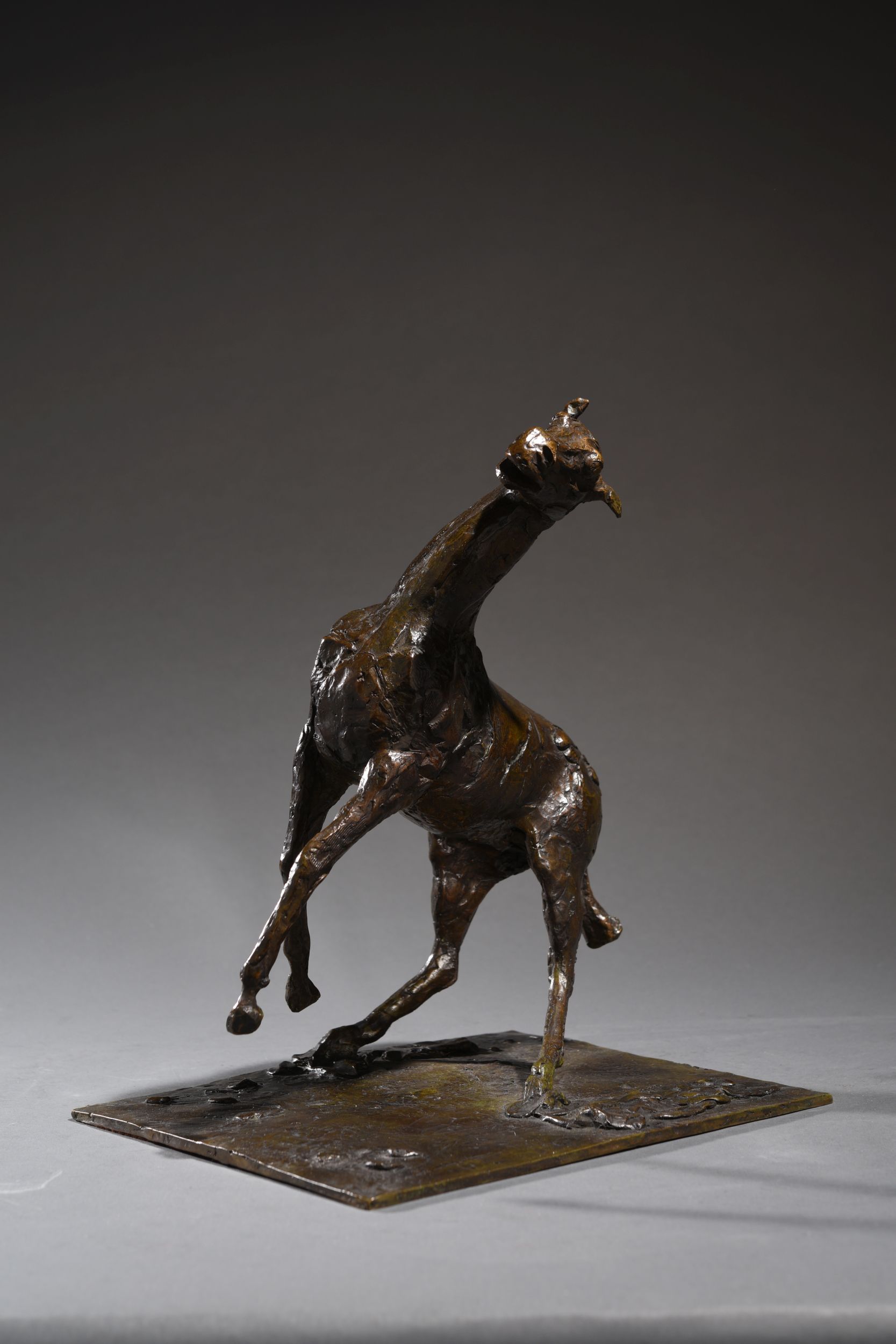 EDGAR DEGAS (1834-1917):  | H&ocirc;tel Des Ventes de Monte-Carlo