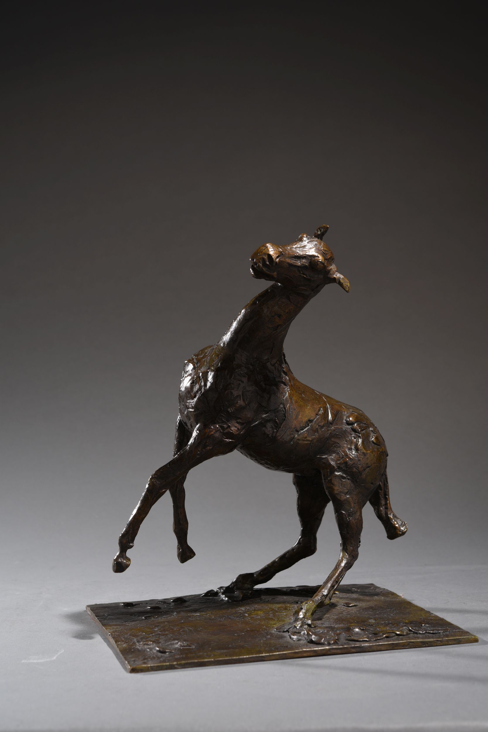 EDGAR DEGAS (1834-1917):  | H&ocirc;tel Des Ventes de Monte-Carlo