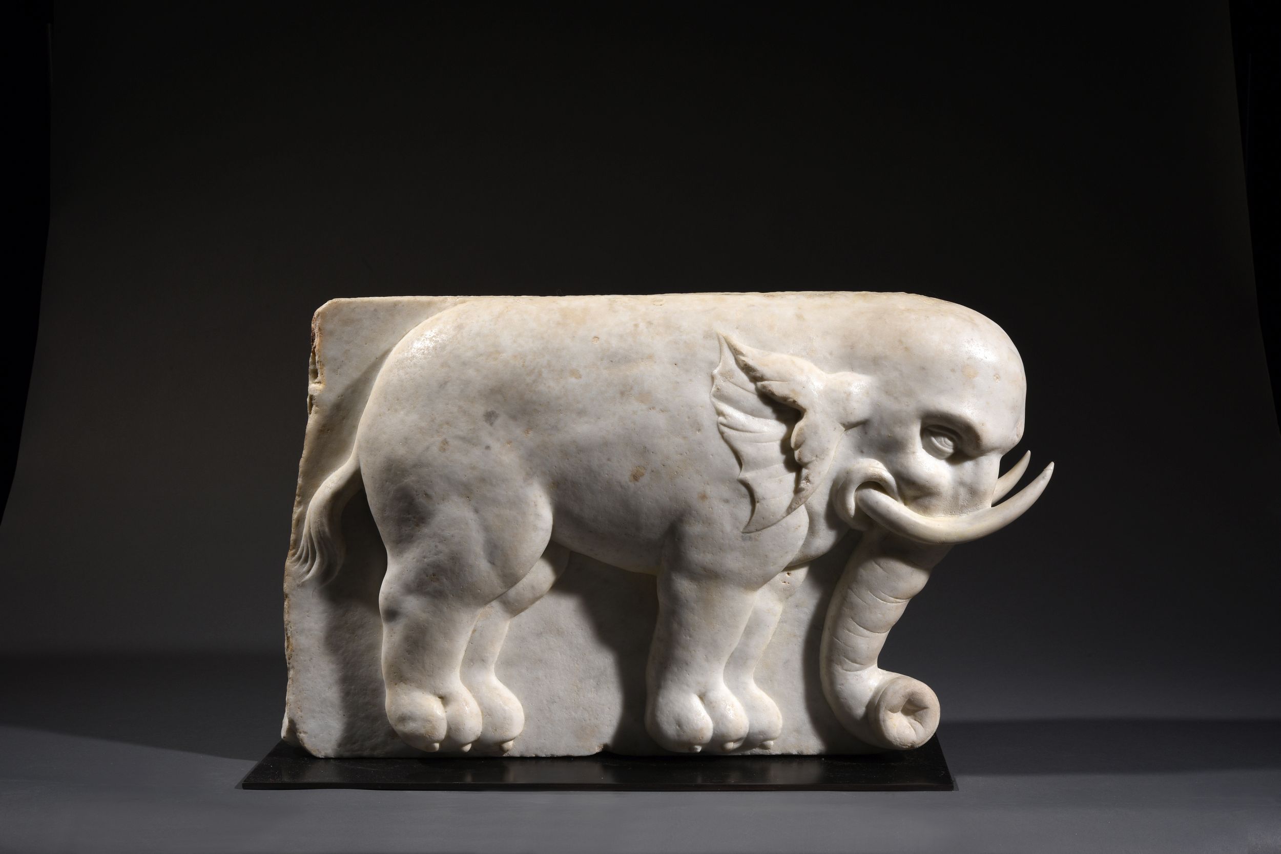 ÉLÉPHANT