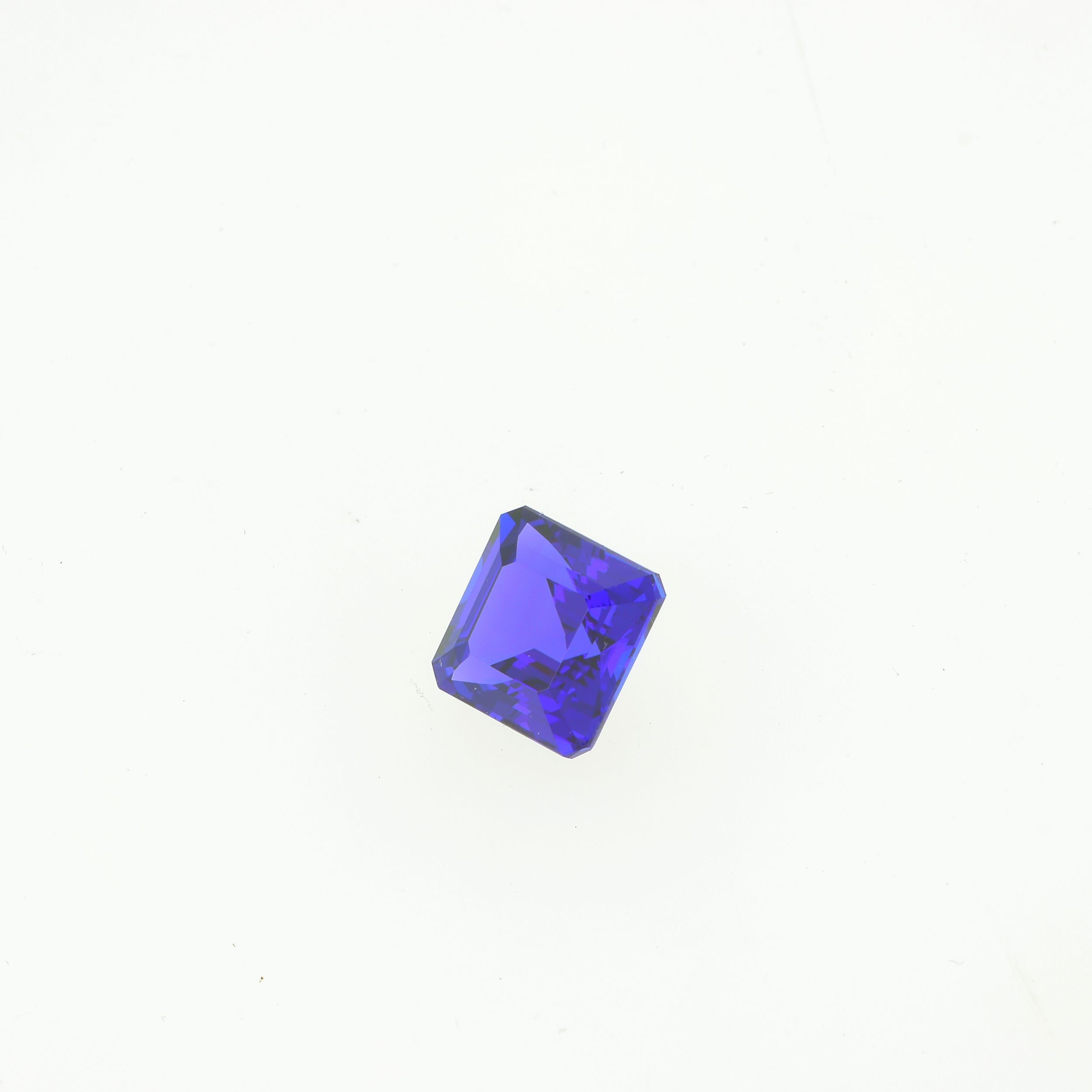 JOLIE BAGUE FLEUR :  | H&ocirc;tel Des Ventes de Monte-Carlo