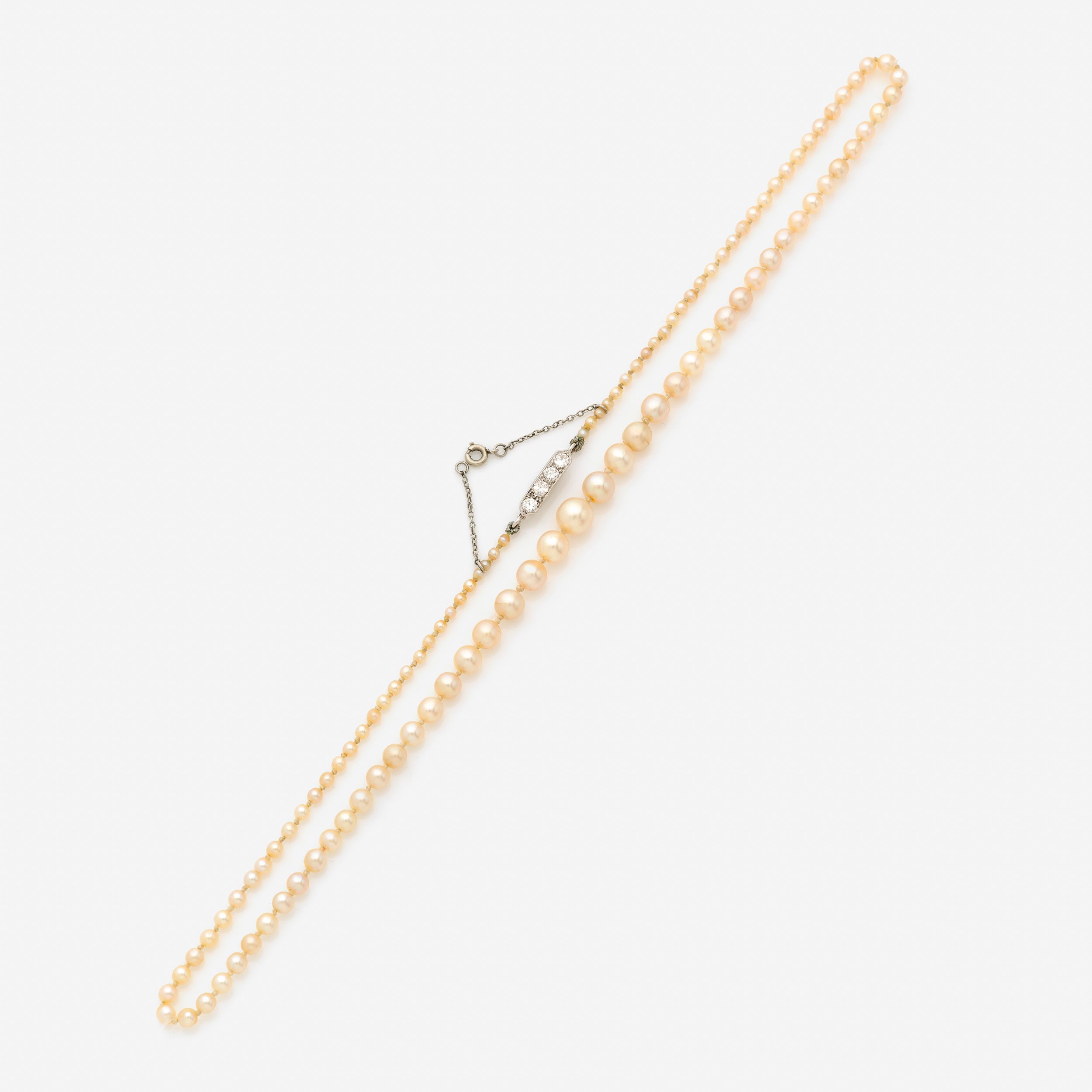 FIN COLLIER 