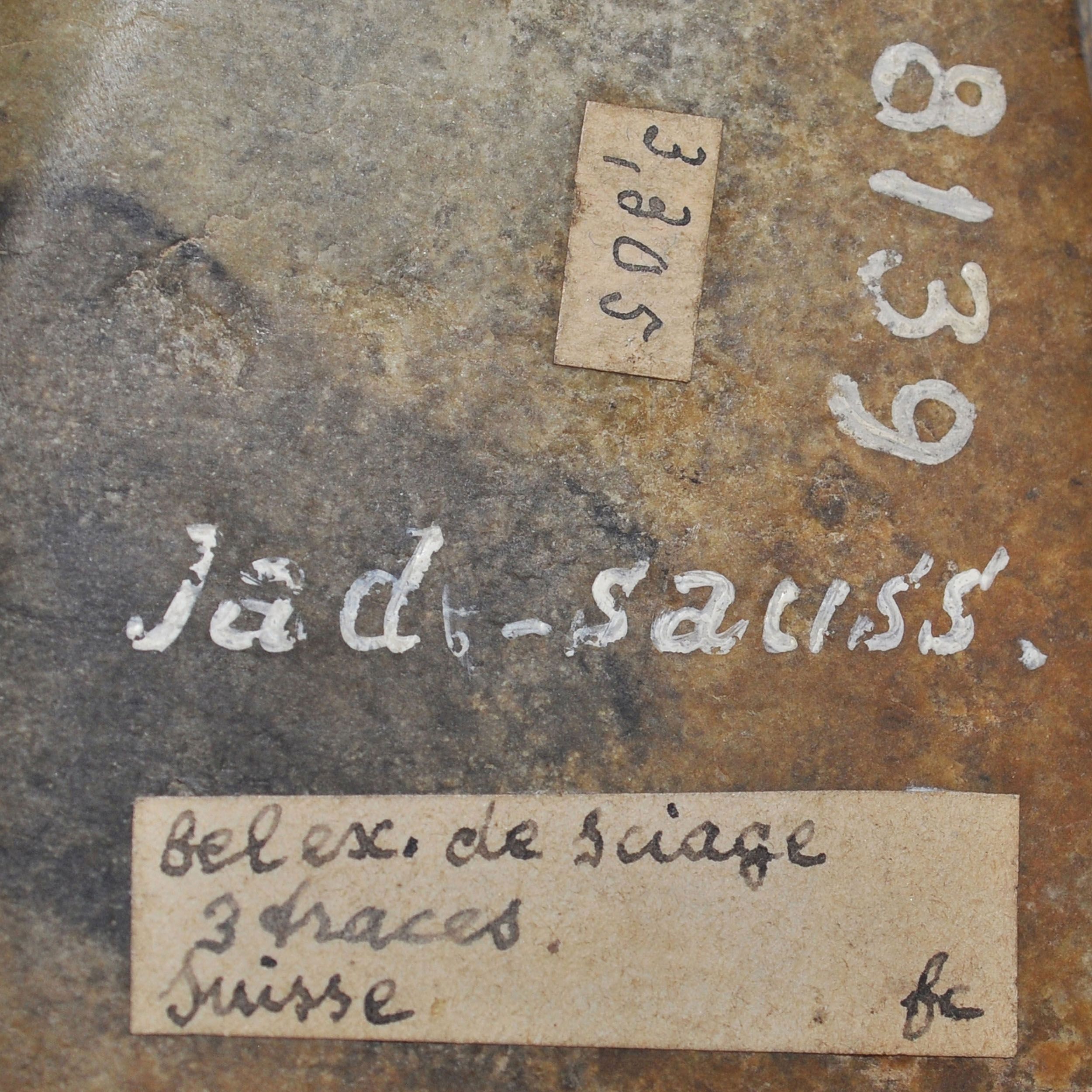 HACHE:  | H&ocirc;tel Des Ventes de Monte-Carlo