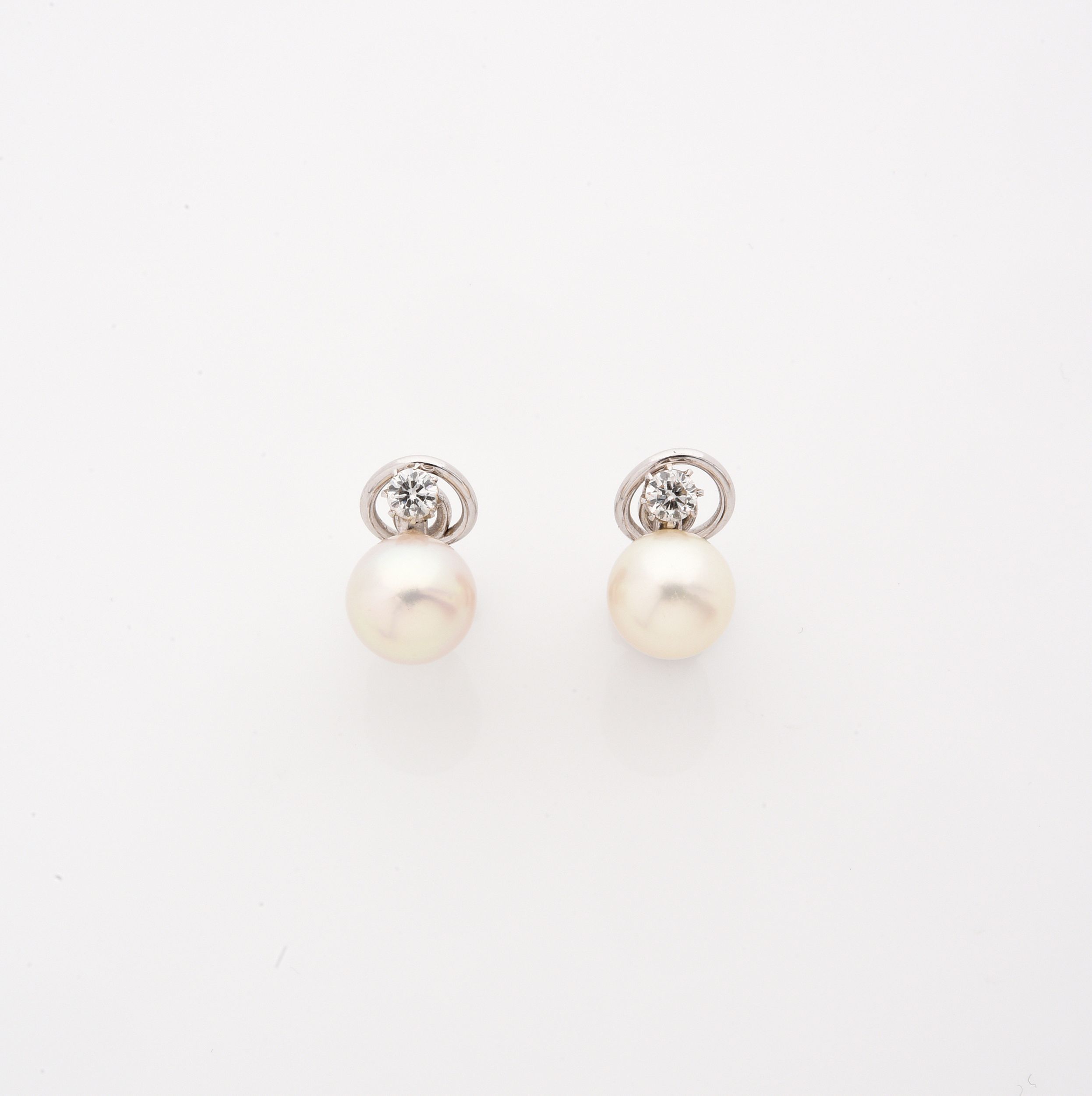 BAGUE :  | H&ocirc;tel Des Ventes de Monte-Carlo