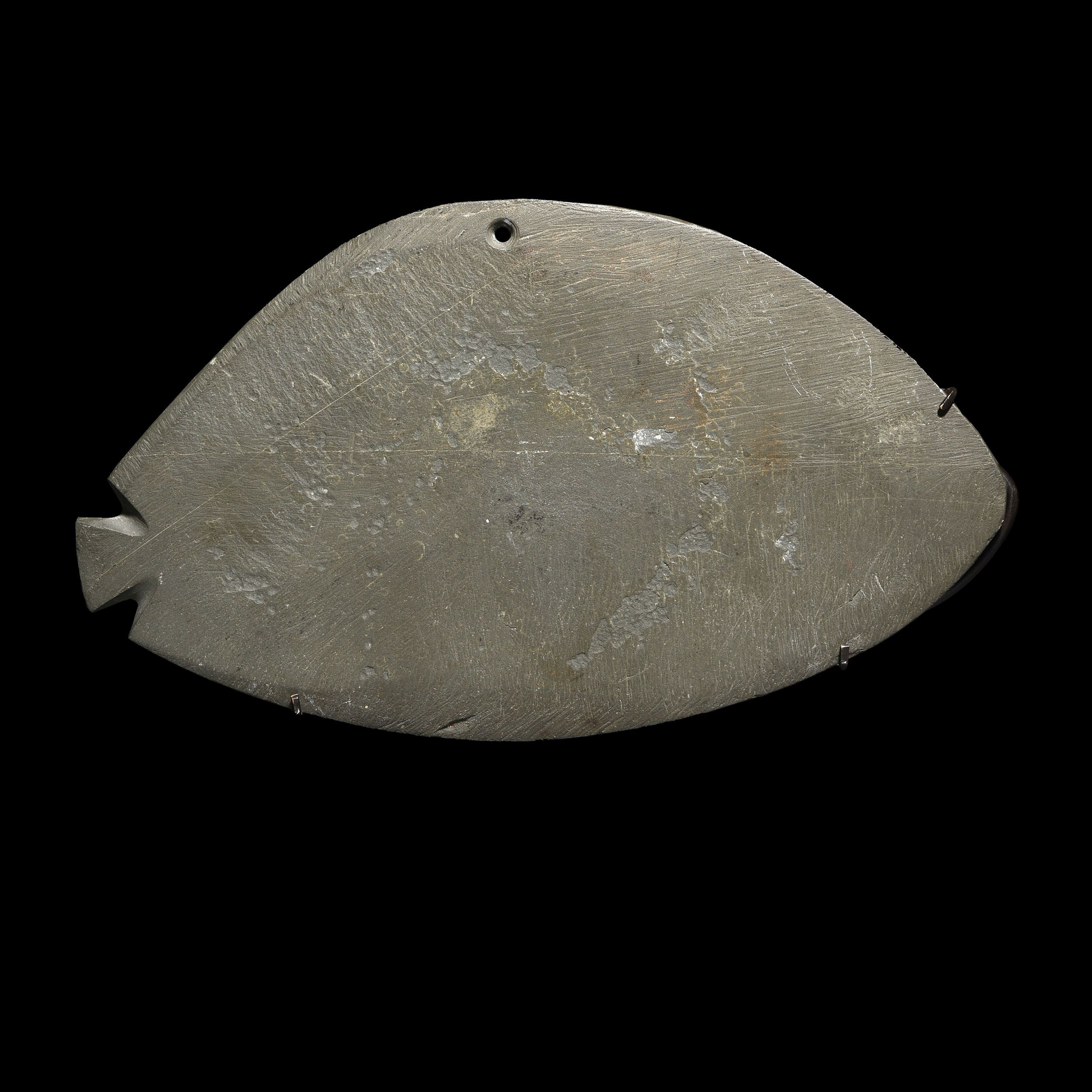 PALETTE À FARD EN FORME DE POISSON