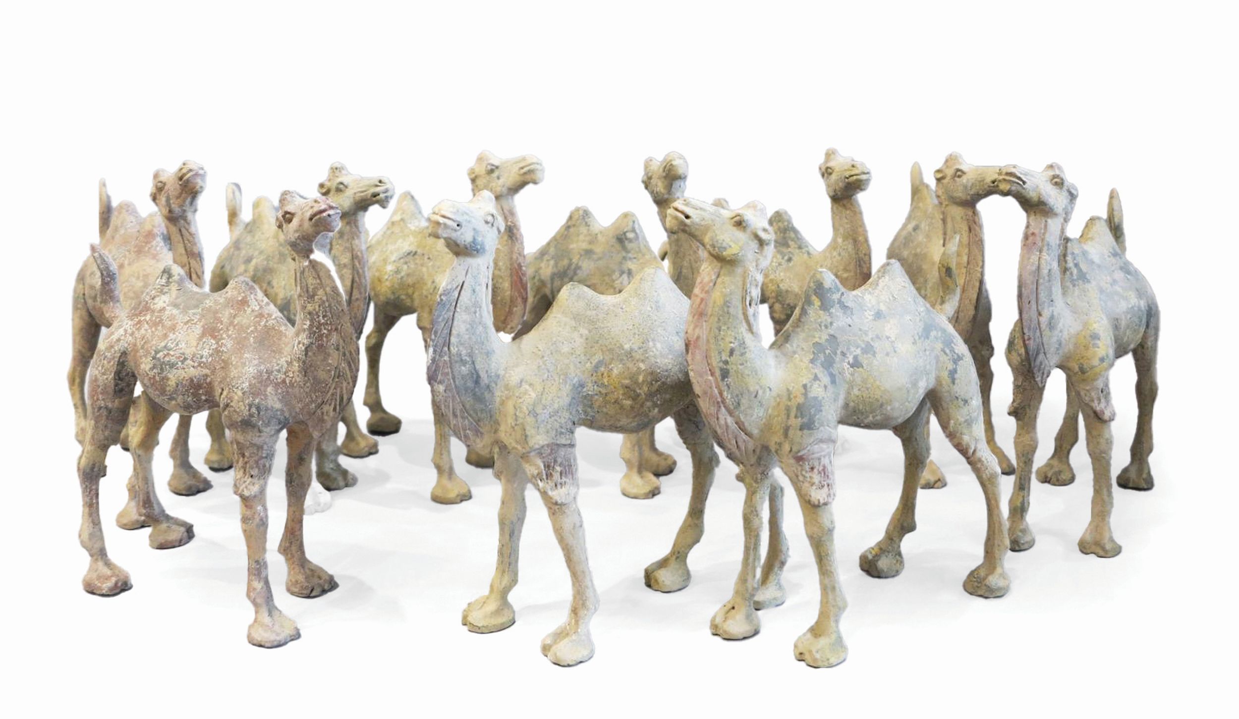 RARE CORTEGE DE CHAMEAUX BACTRIANS