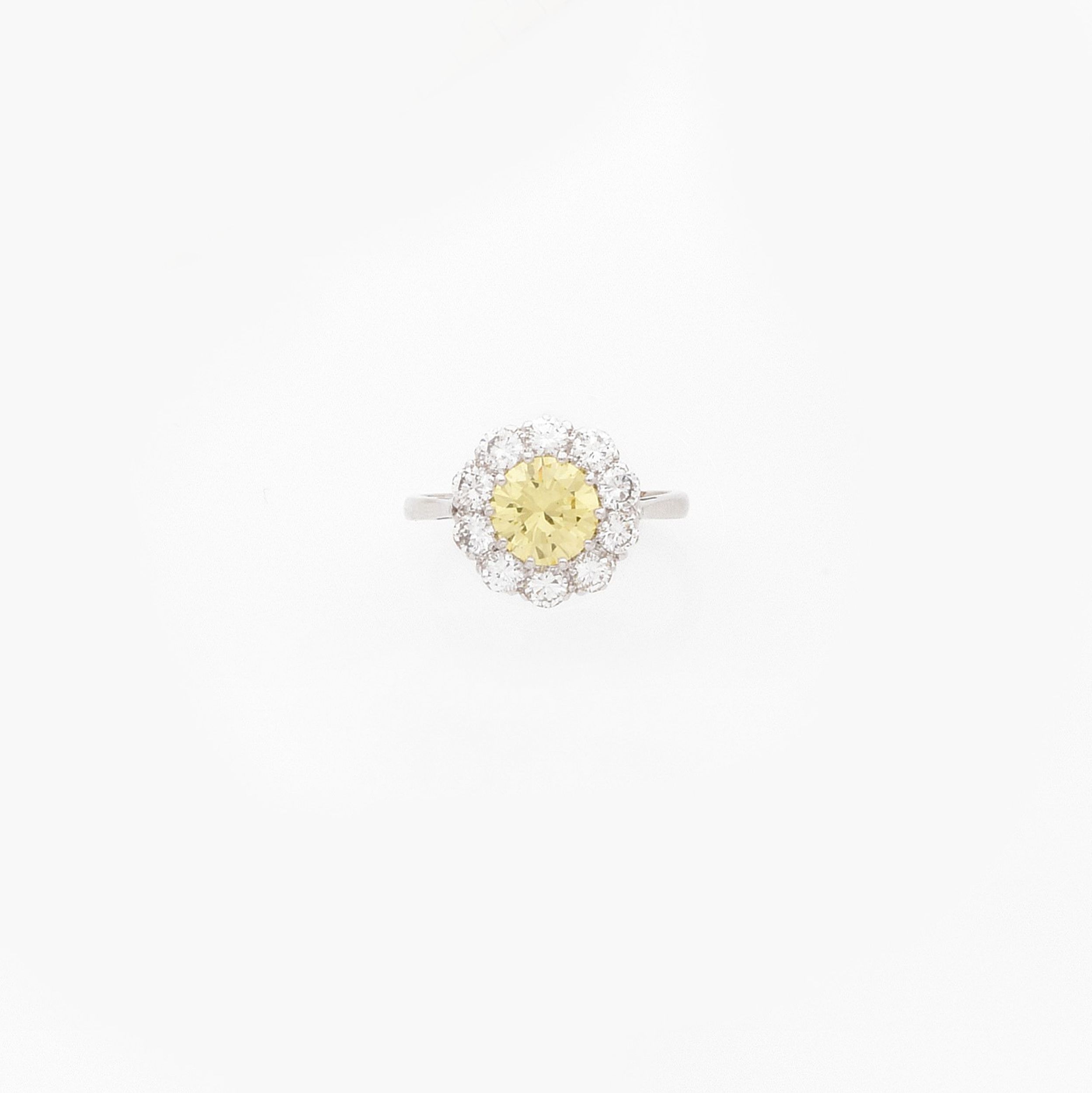 BROCHE FEUILLE:  | H&ocirc;tel Des Ventes de Monte-Carlo