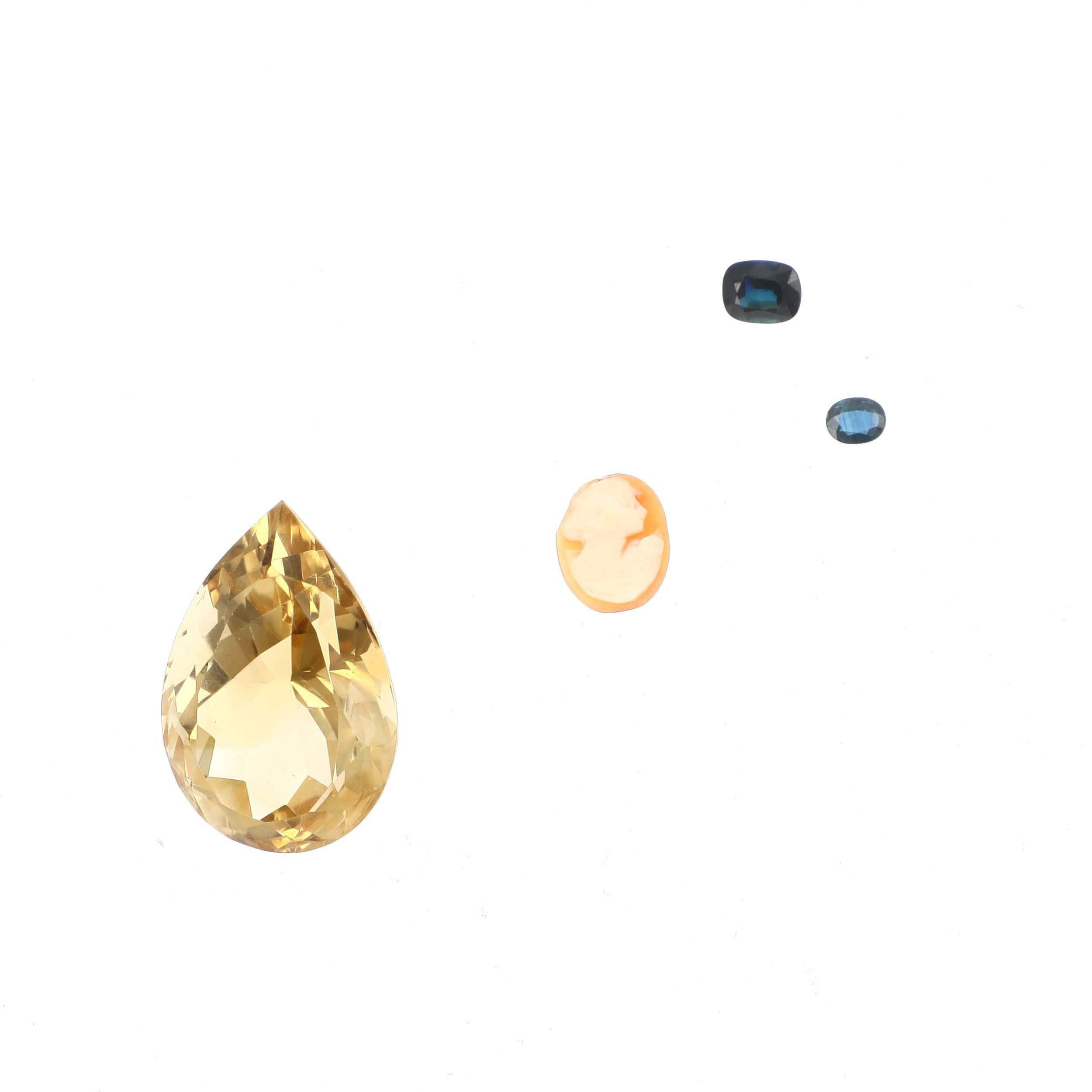 BAGUE:  | H&ocirc;tel Des Ventes de Monte-Carlo