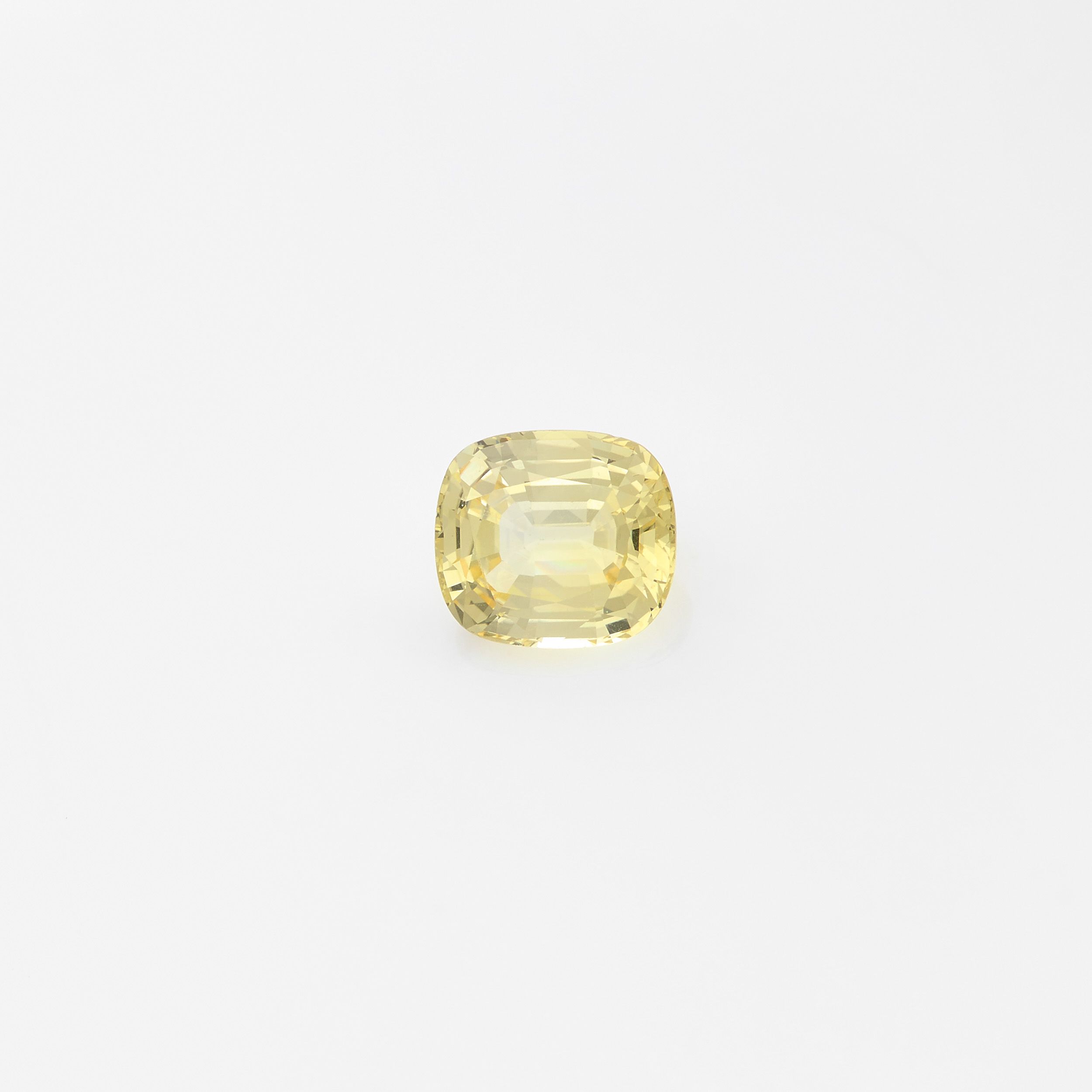 BIJOUX DE MISTINGUETT:  | H&ocirc;tel Des Ventes de Monte-Carlo
