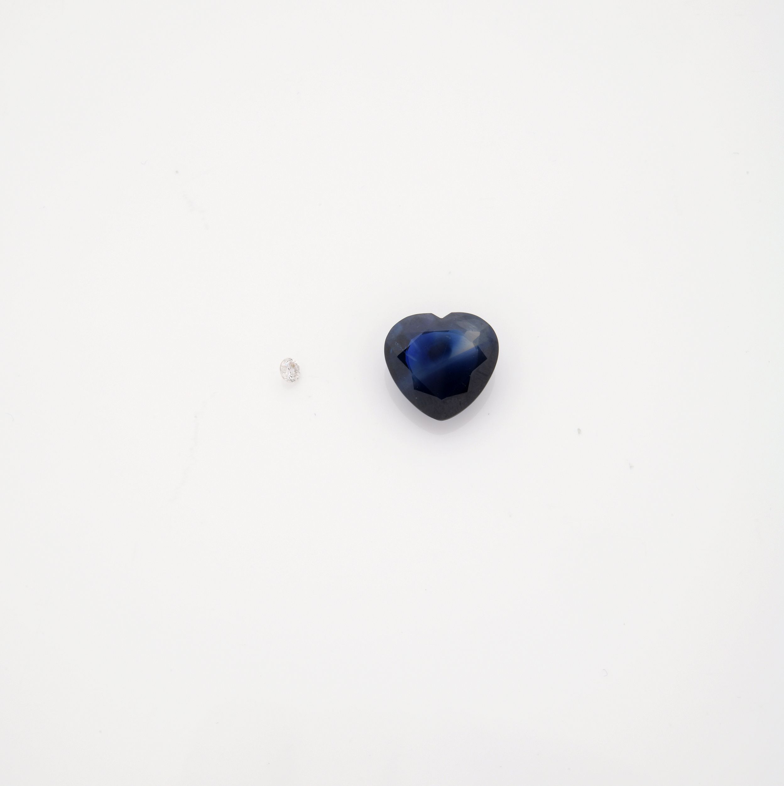 RAVISSANT COLLIER A TRANSFORMATION:  | H&ocirc;tel Des Ventes de Monte-Carlo