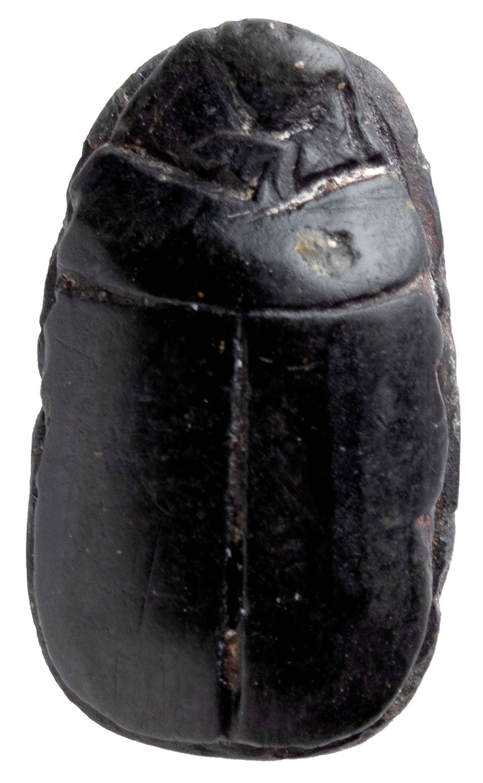 VASE TORPEDO:  | H&ocirc;tel Des Ventes de Monte-Carlo
