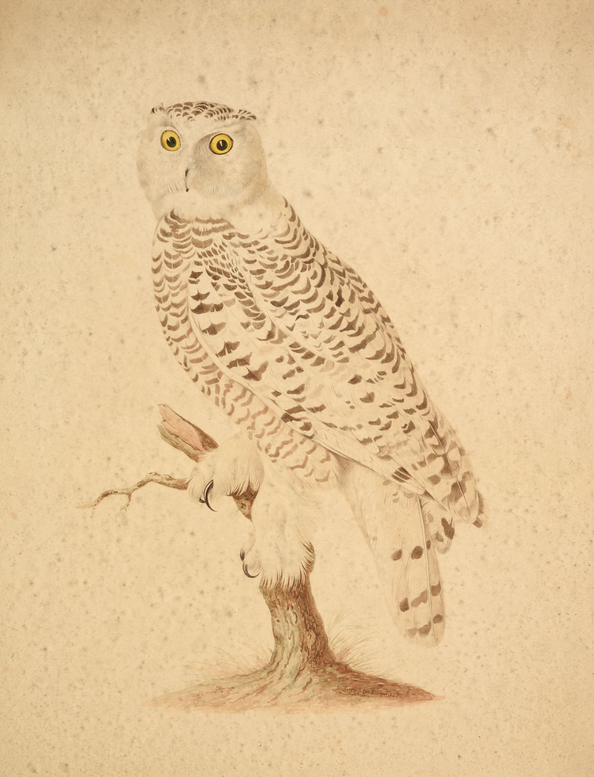 SYDENHAM TEAST EDWARDS (C.1768-1819)