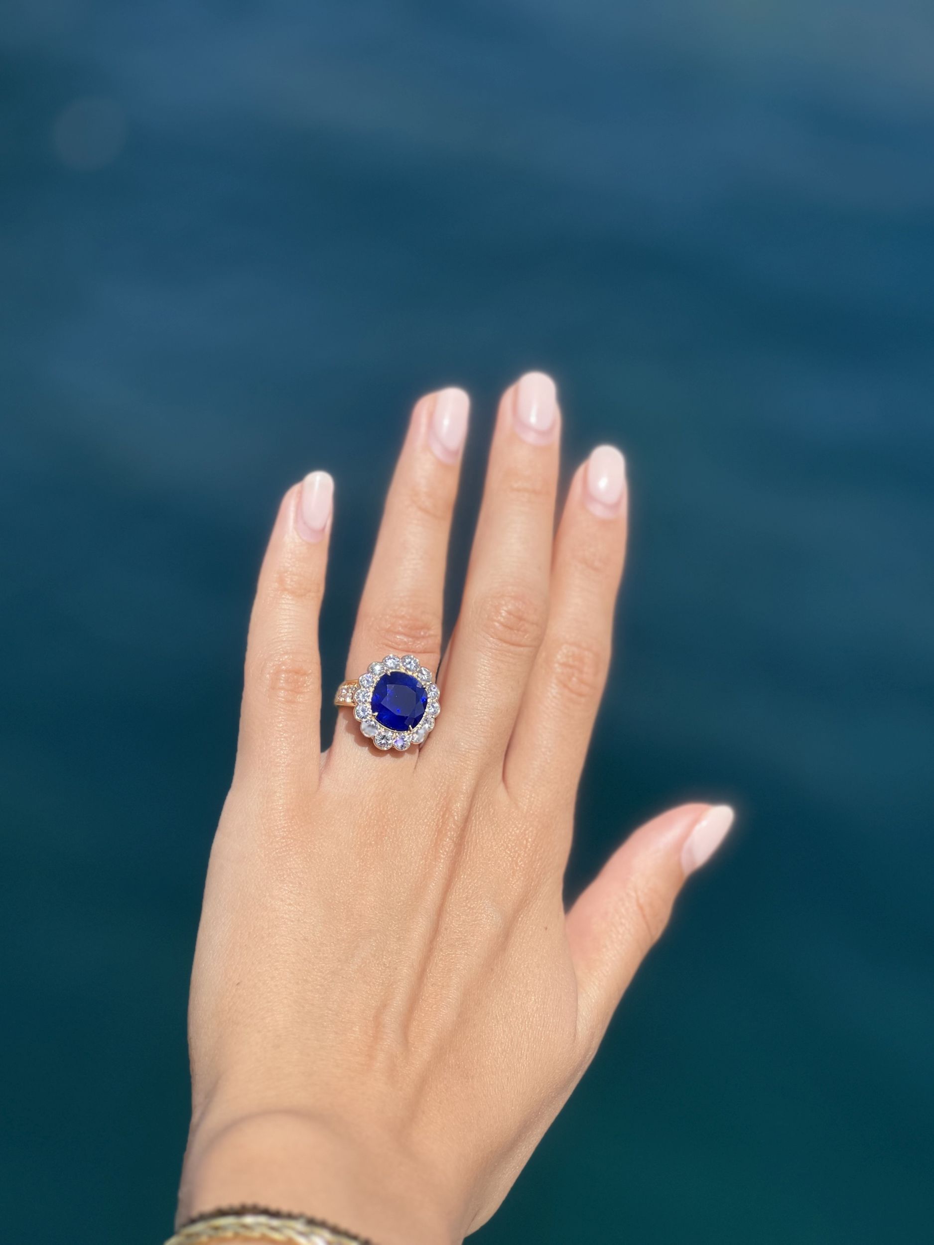 VAN CLEEF AND ARPELS:  | H&ocirc;tel Des Ventes de Monte-Carlo
